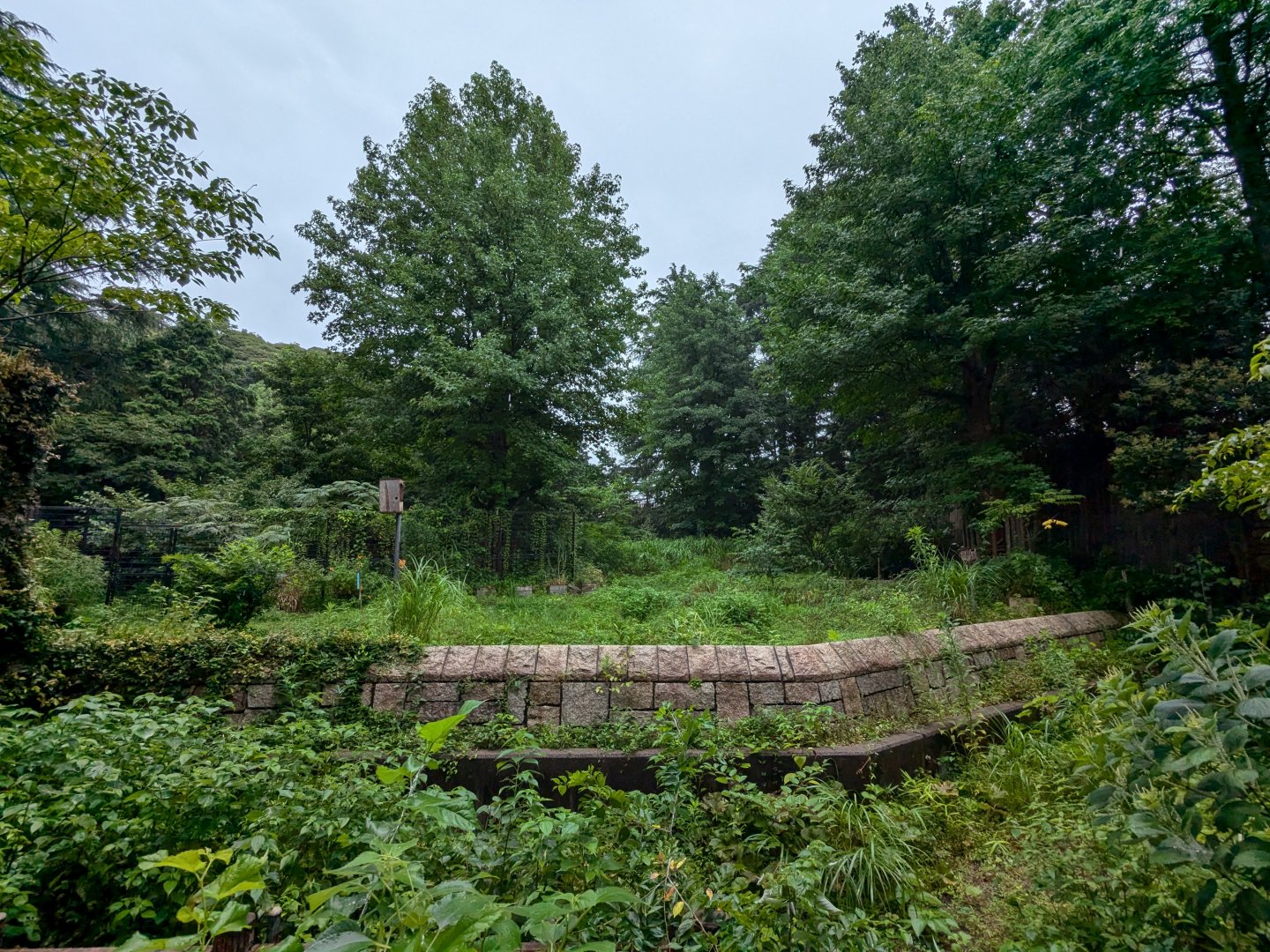 Former American Moose Enclosure