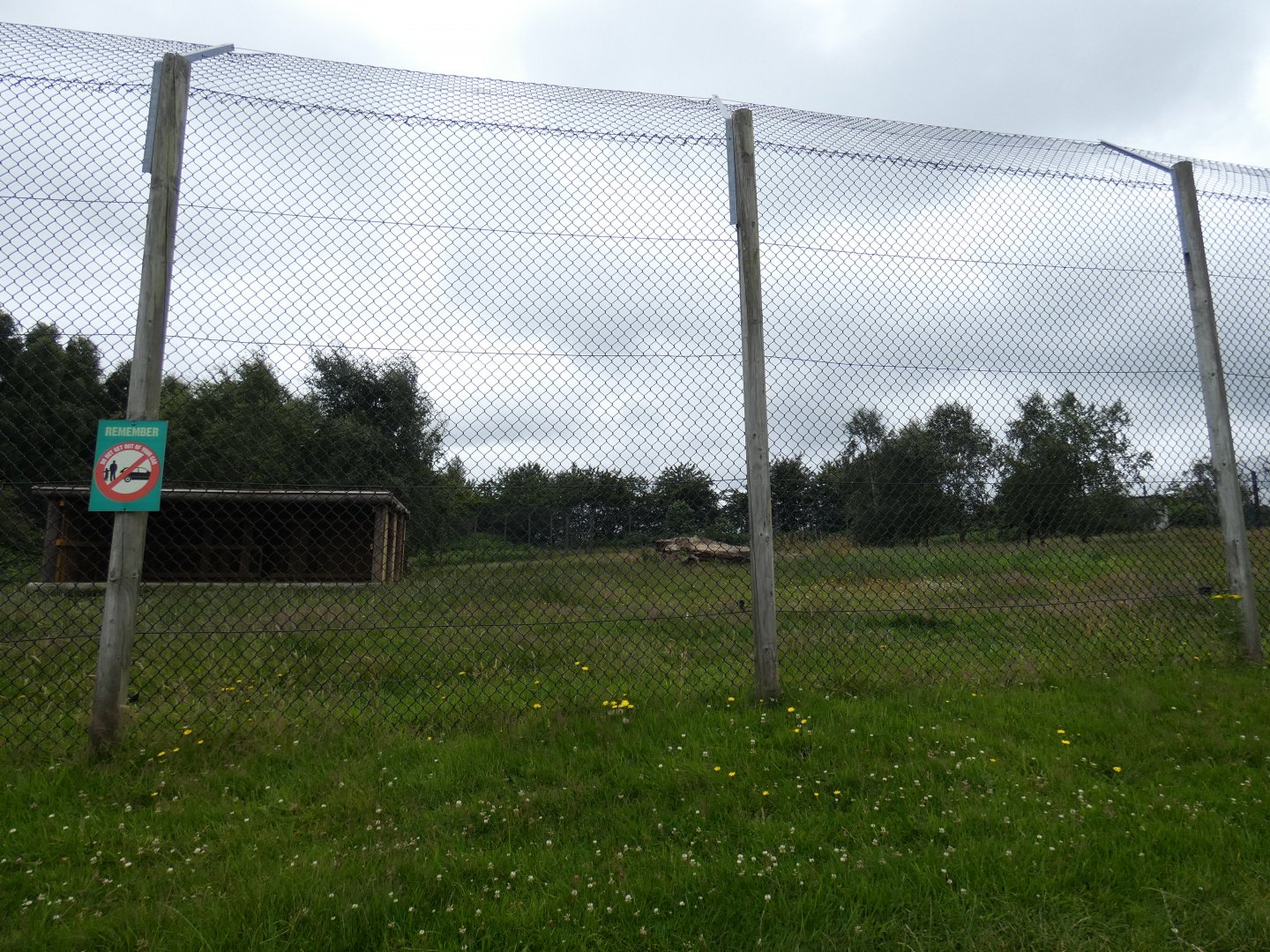 Former Amur Tiger enclosure