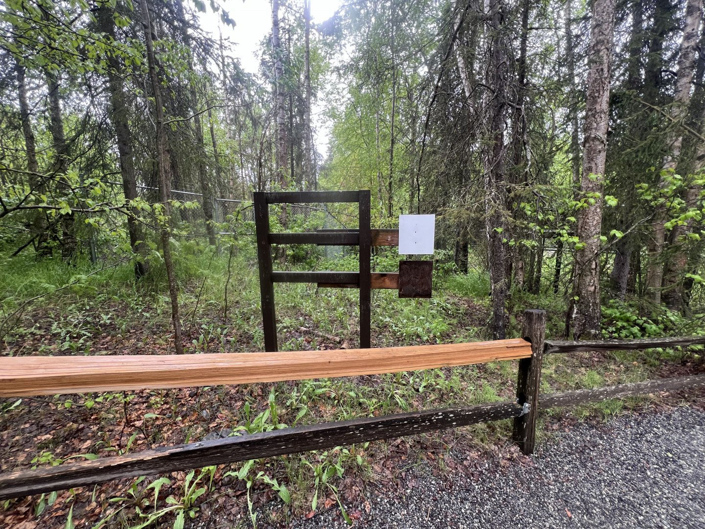 Former Amur Tiger Info Sign