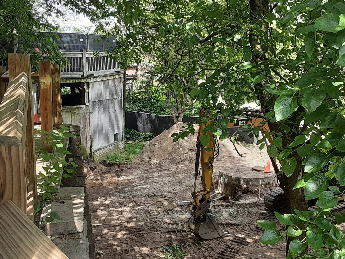 Former and Future Red Panda Exhibit