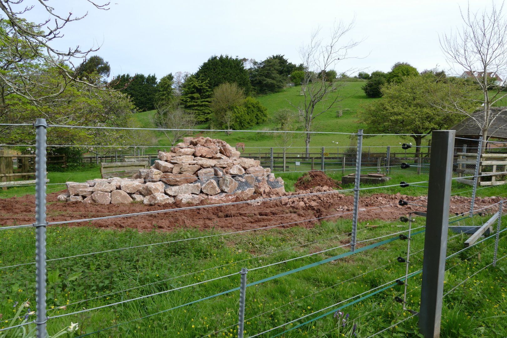 Former Anoa paddock, April 2018