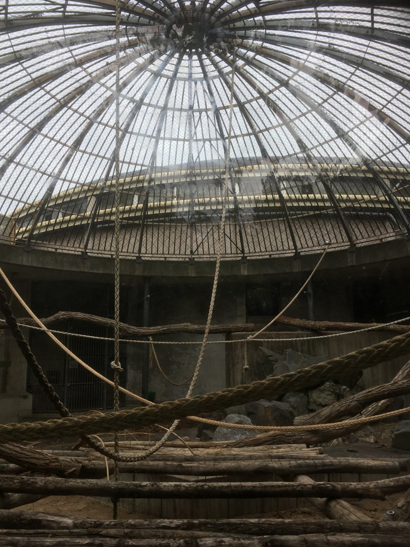 Former ape enclosure