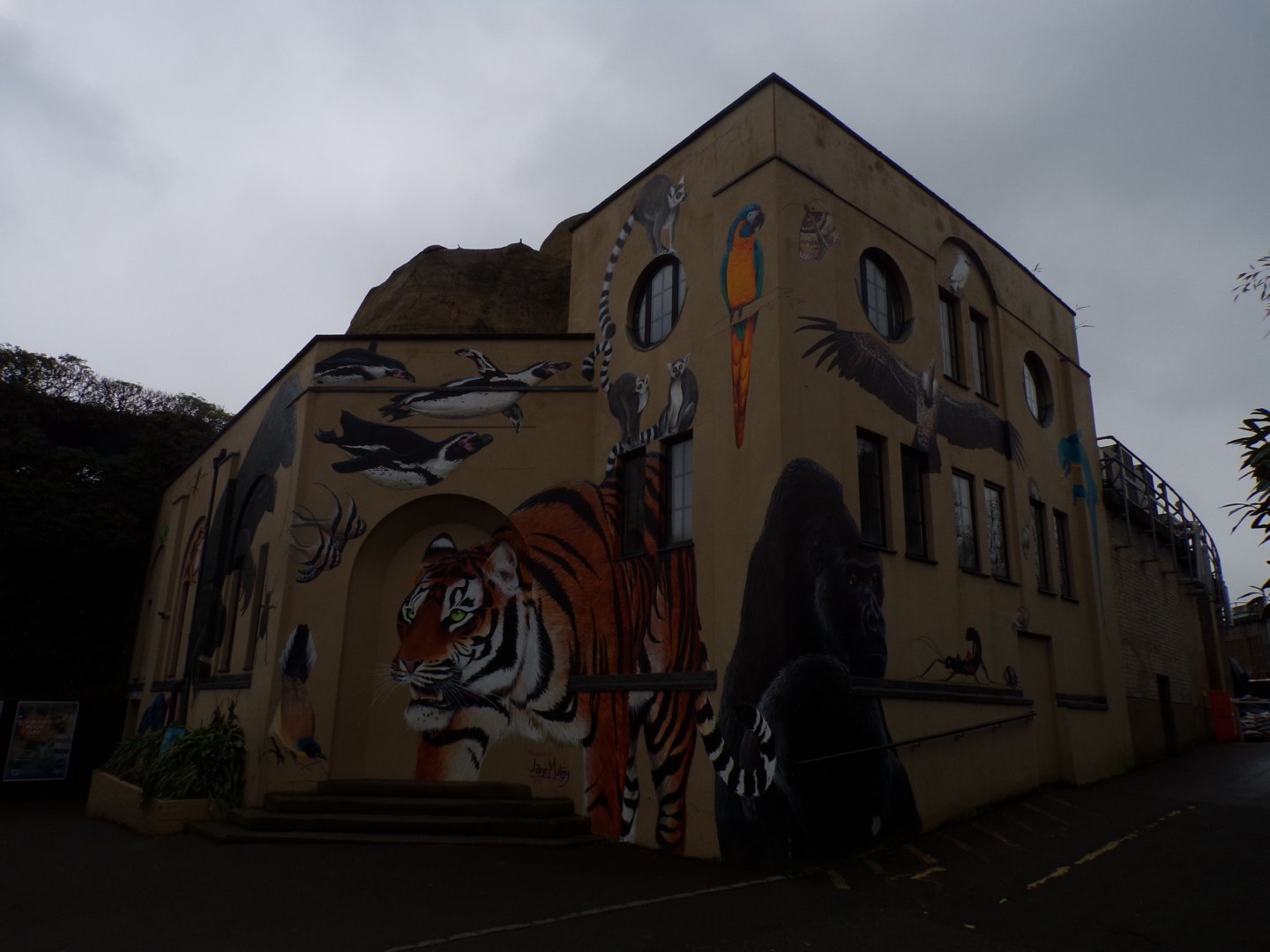 Former aquarium 11.2.25