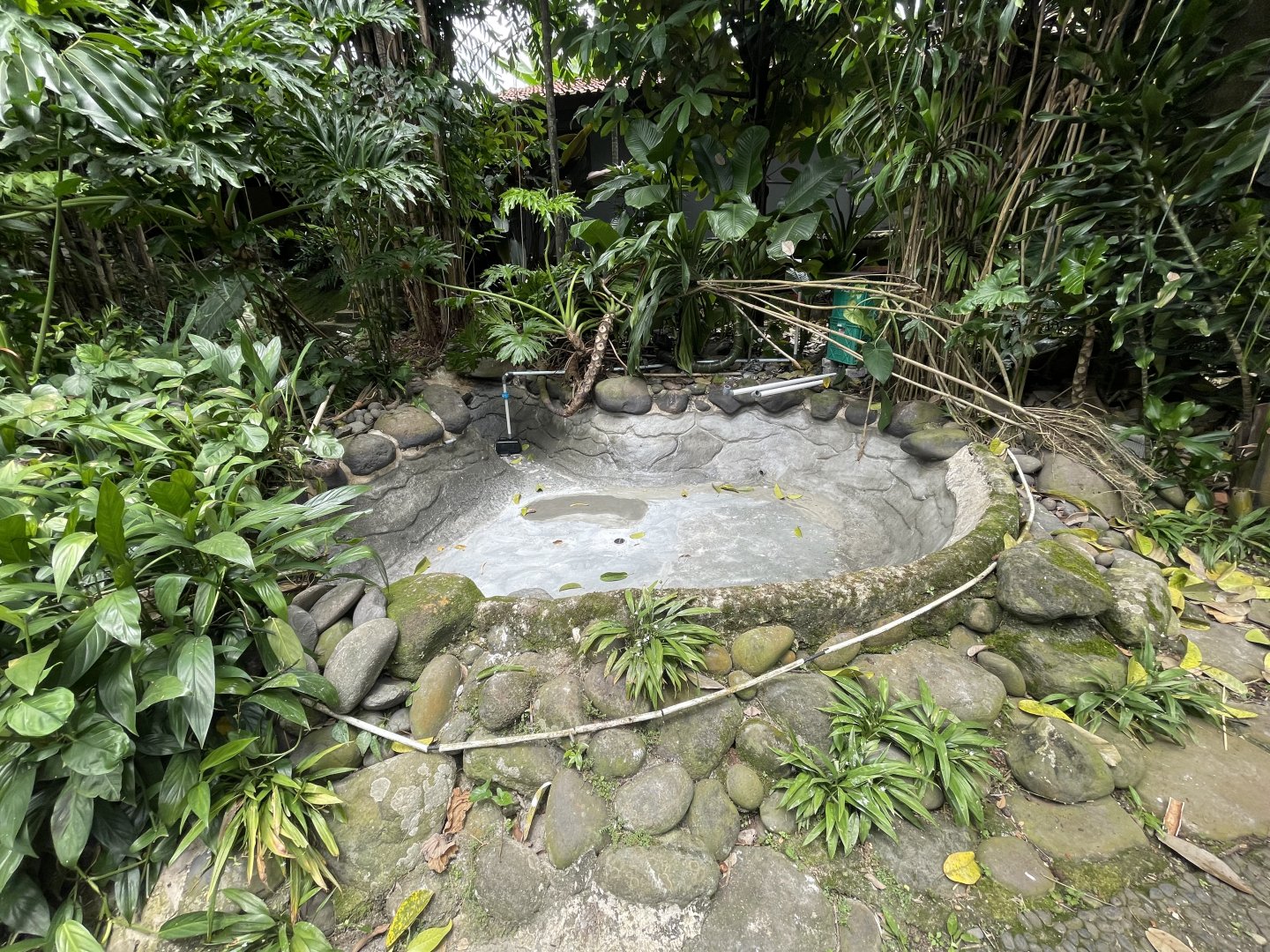 former arapaima pond
