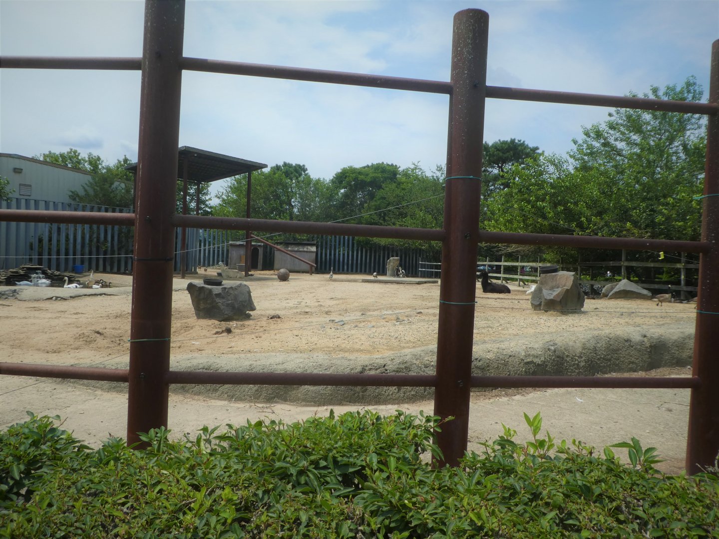 Former Asian Elephant Exhibit