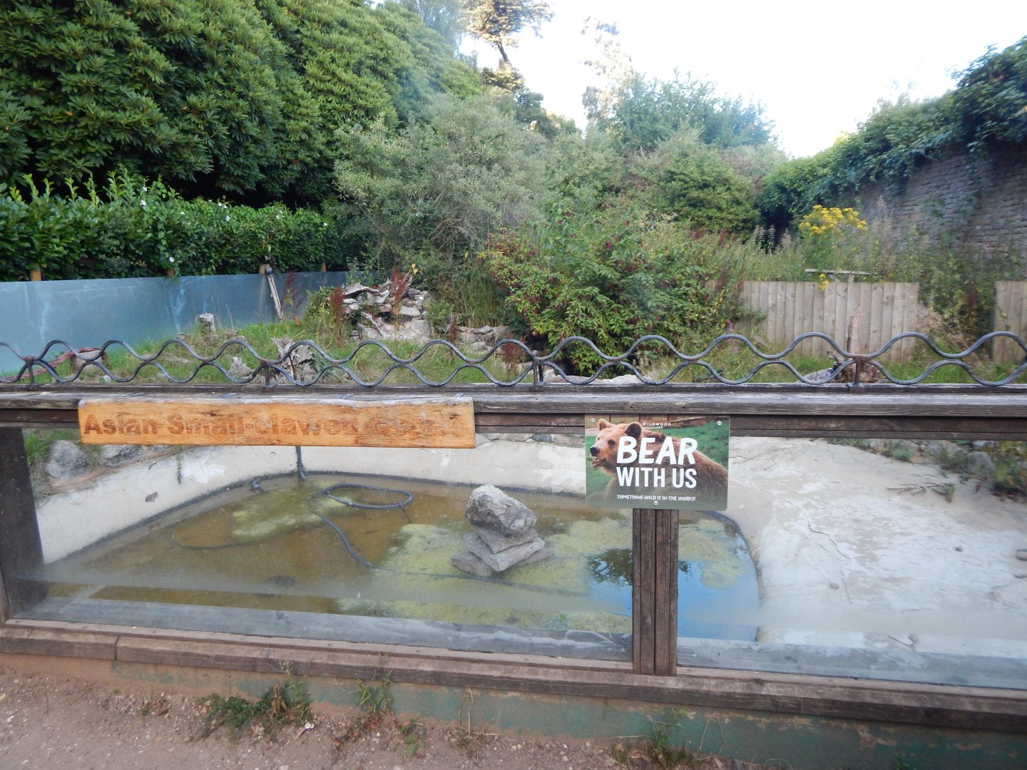Former Asian small-clawed otter enclosure 020825