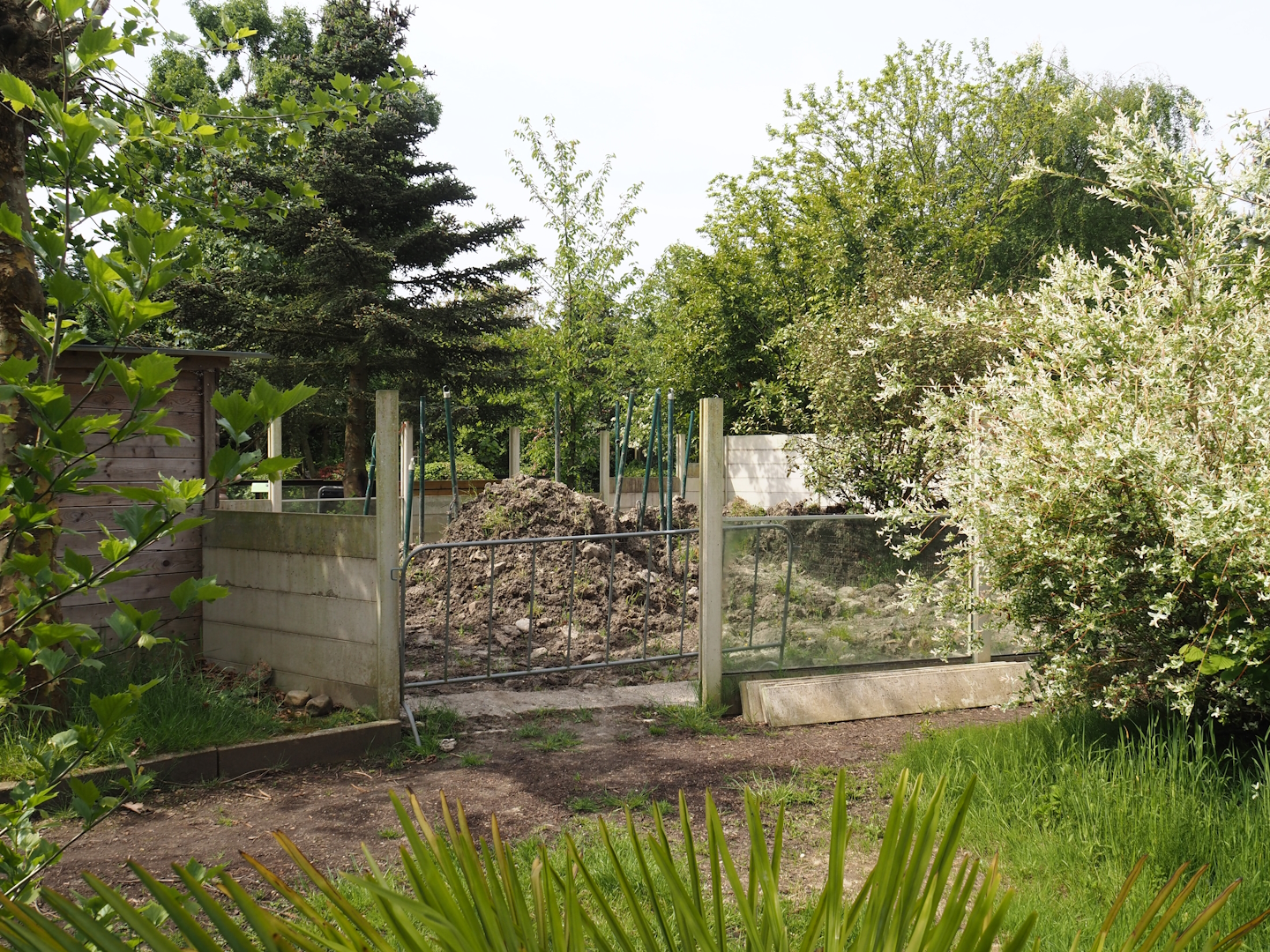 Former Asian-small clawed otter exhibit under construction, 2024-05-11
