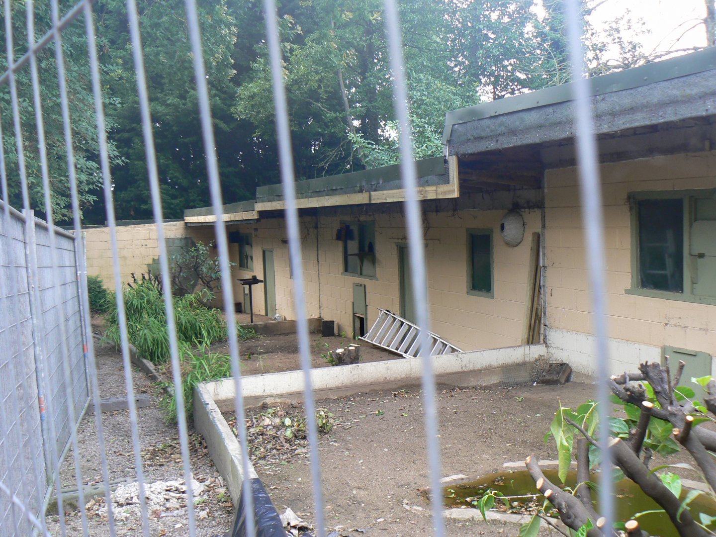 Former aviaries - 11 August 2019