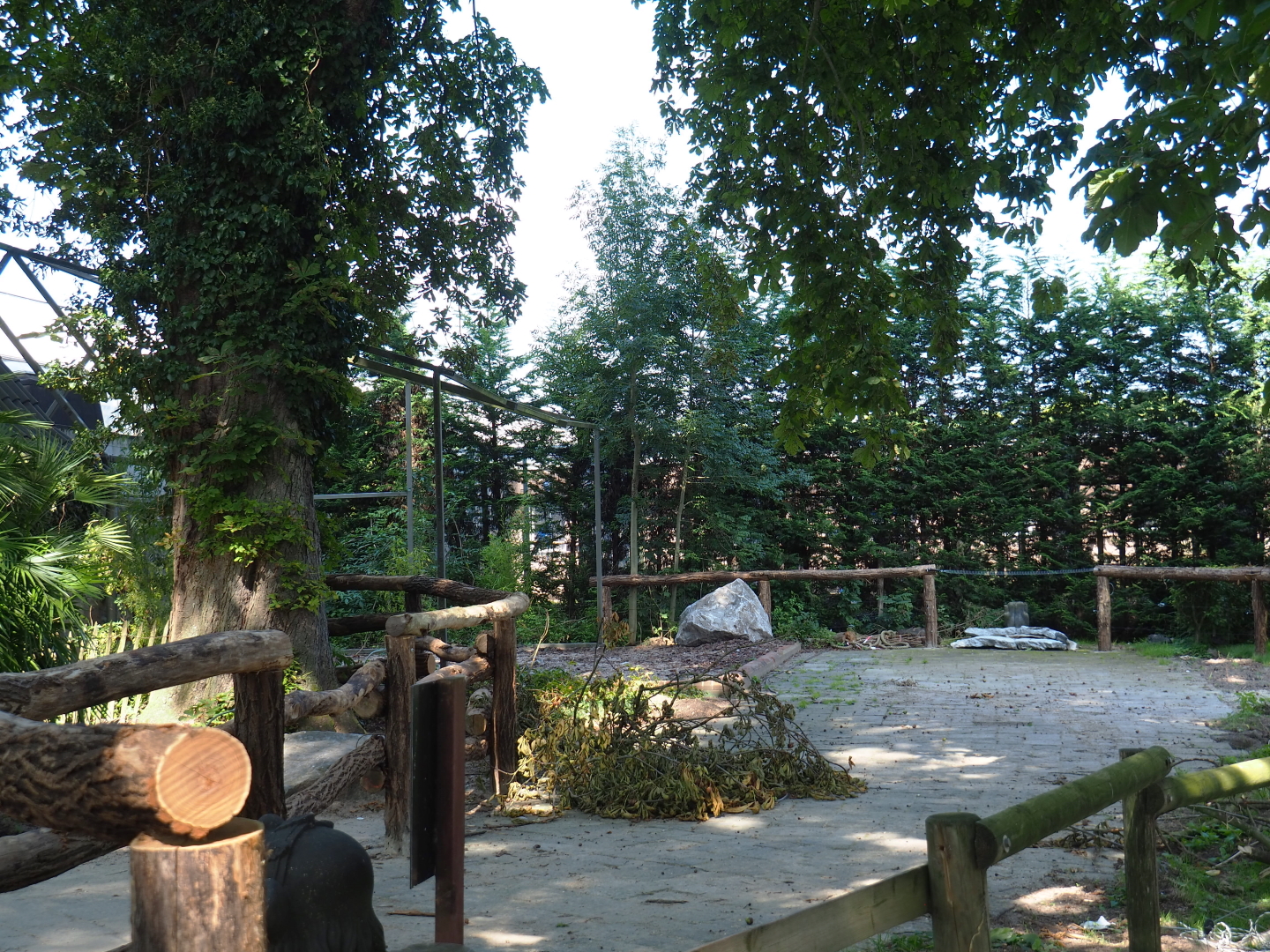 Former aviary and visitor area, now part of the Dromedary camel paddock, 2021-09-03
