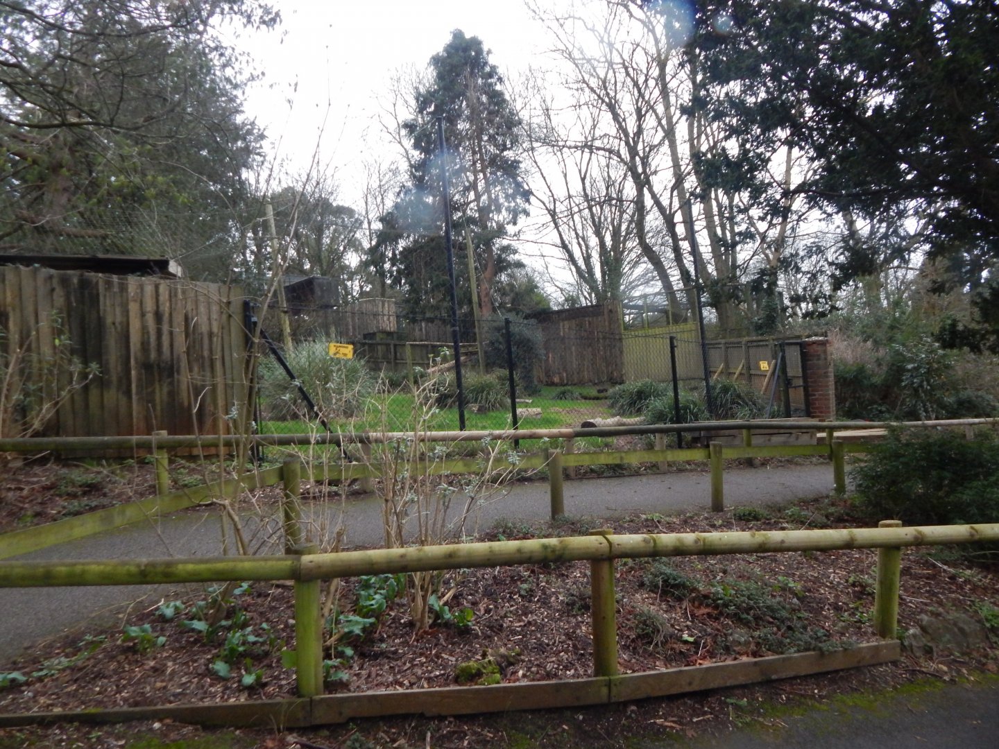 Former aviary for Oriental white storks 050224