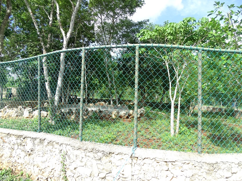 Former Baird's tapir enclosure