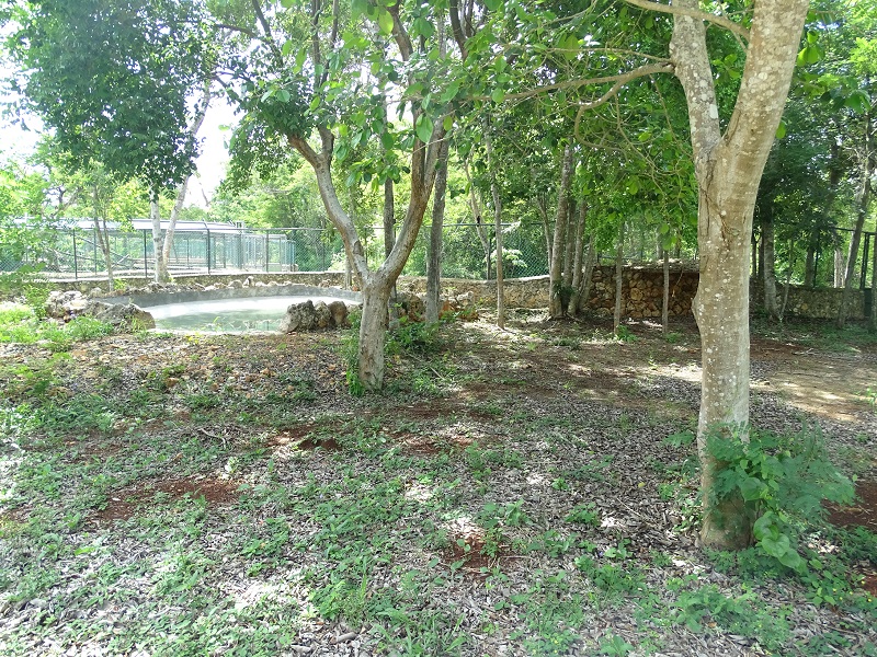 Former Baird's tapir enclosure