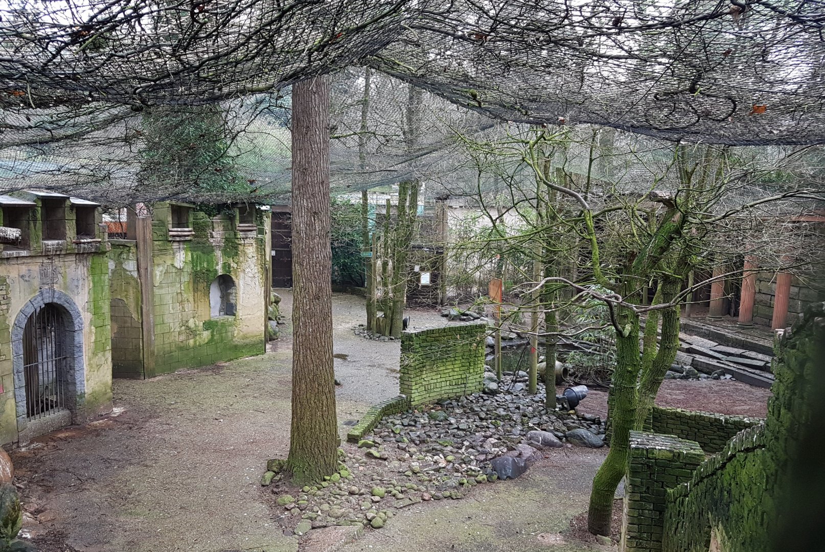 Former Bald ibis-enclosure