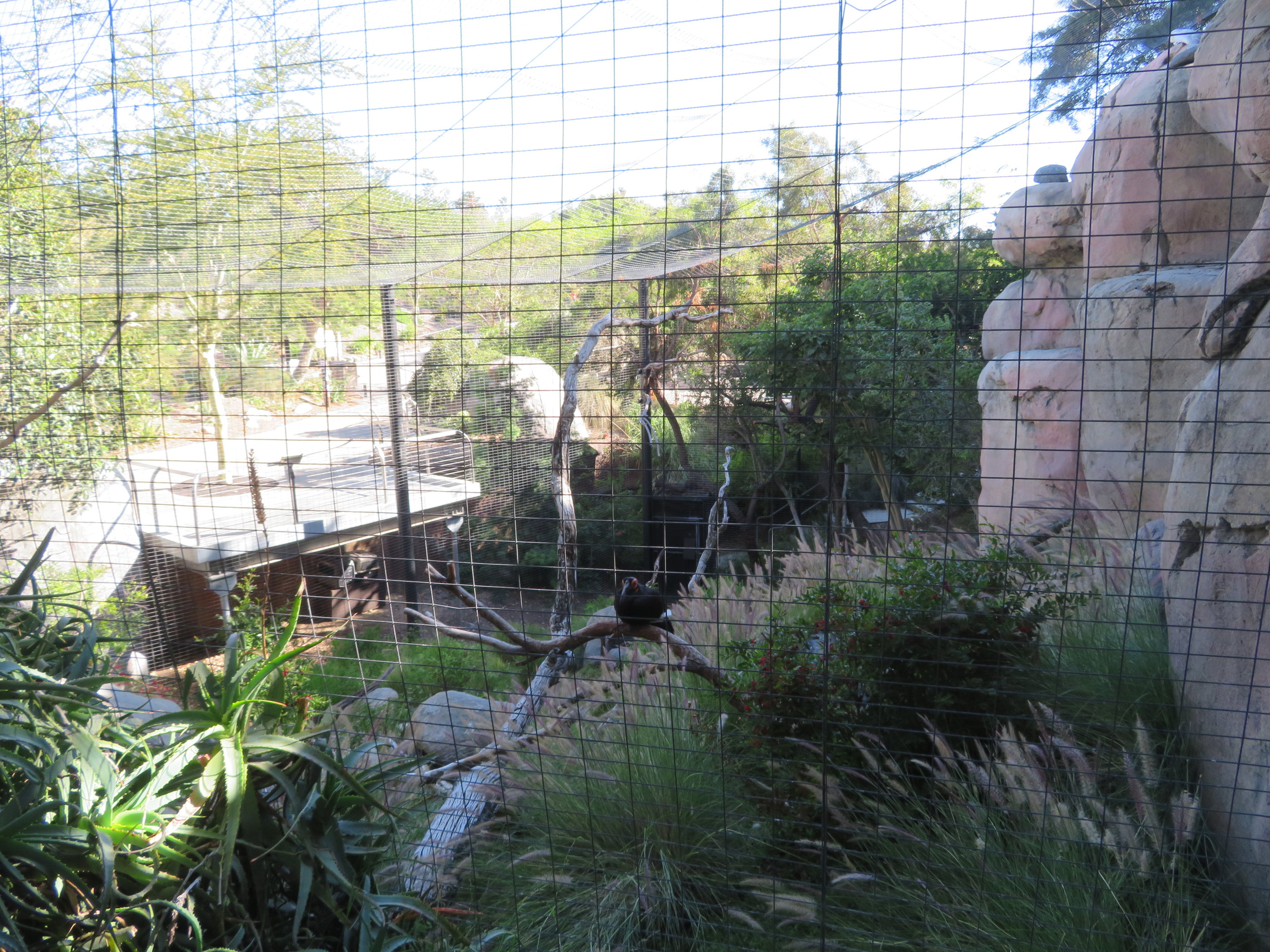Former Bateleur Aviary