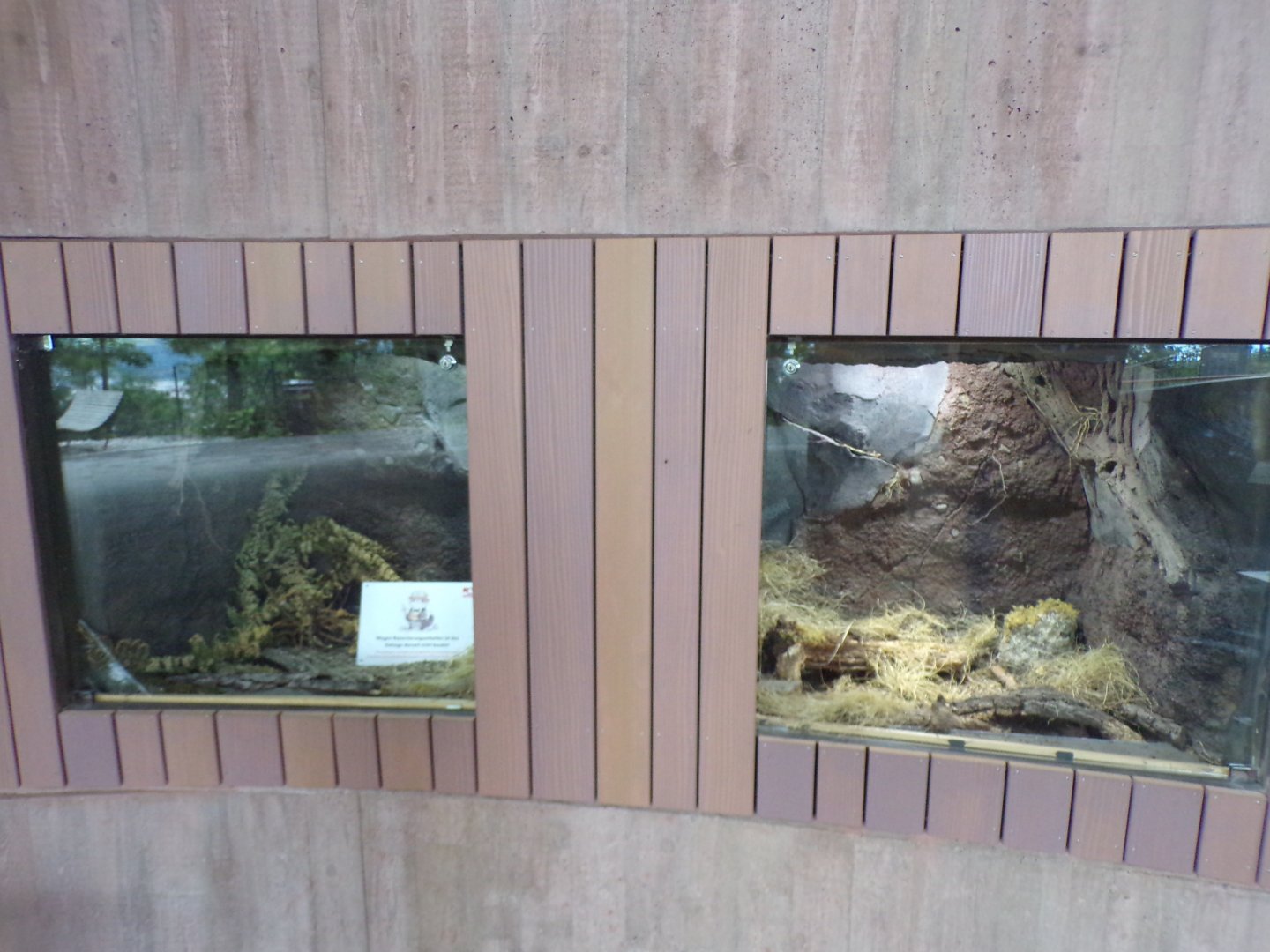 Former Bavarian pine vole exhibit 9.7.25