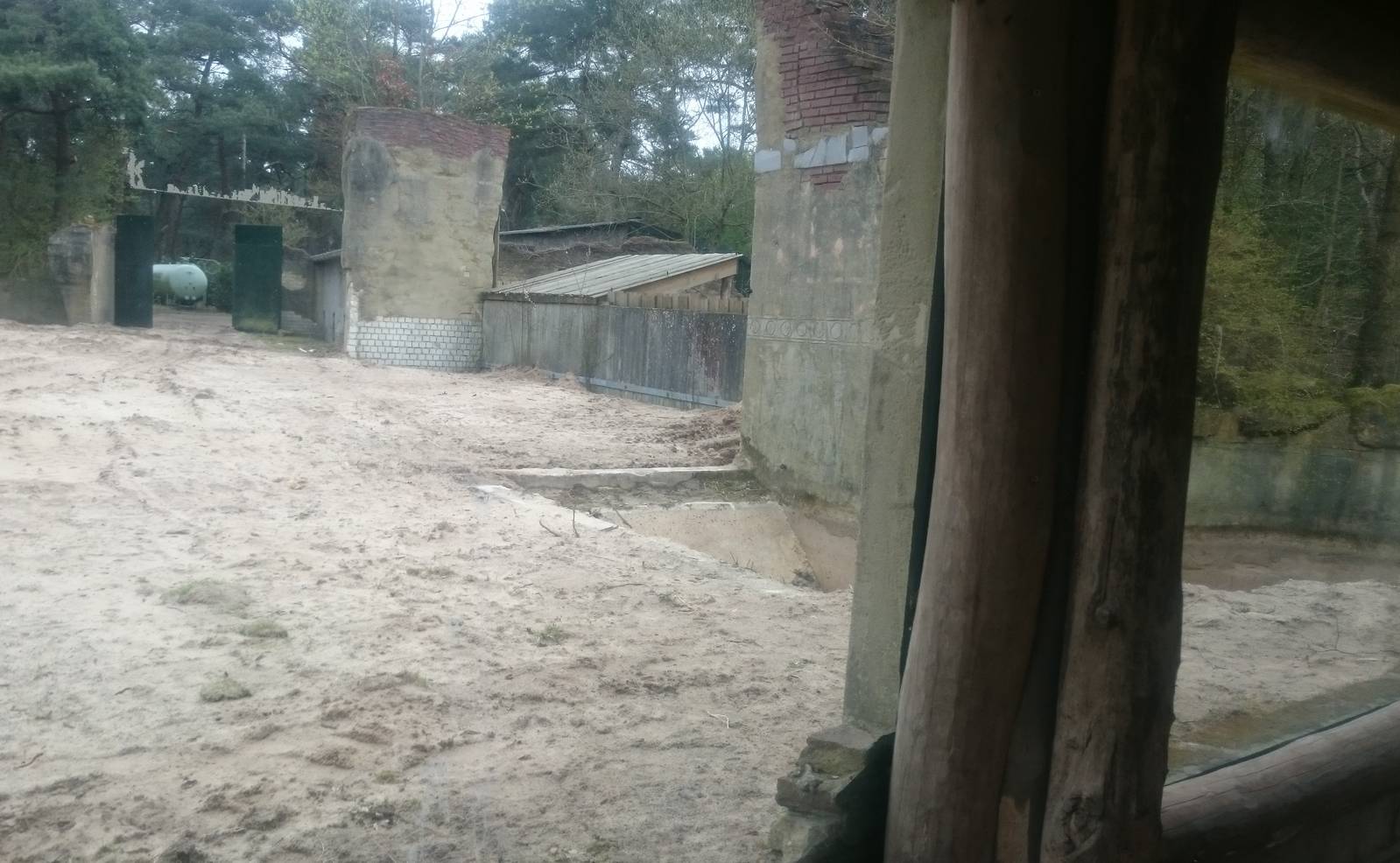 Former Bear enclosure under construction