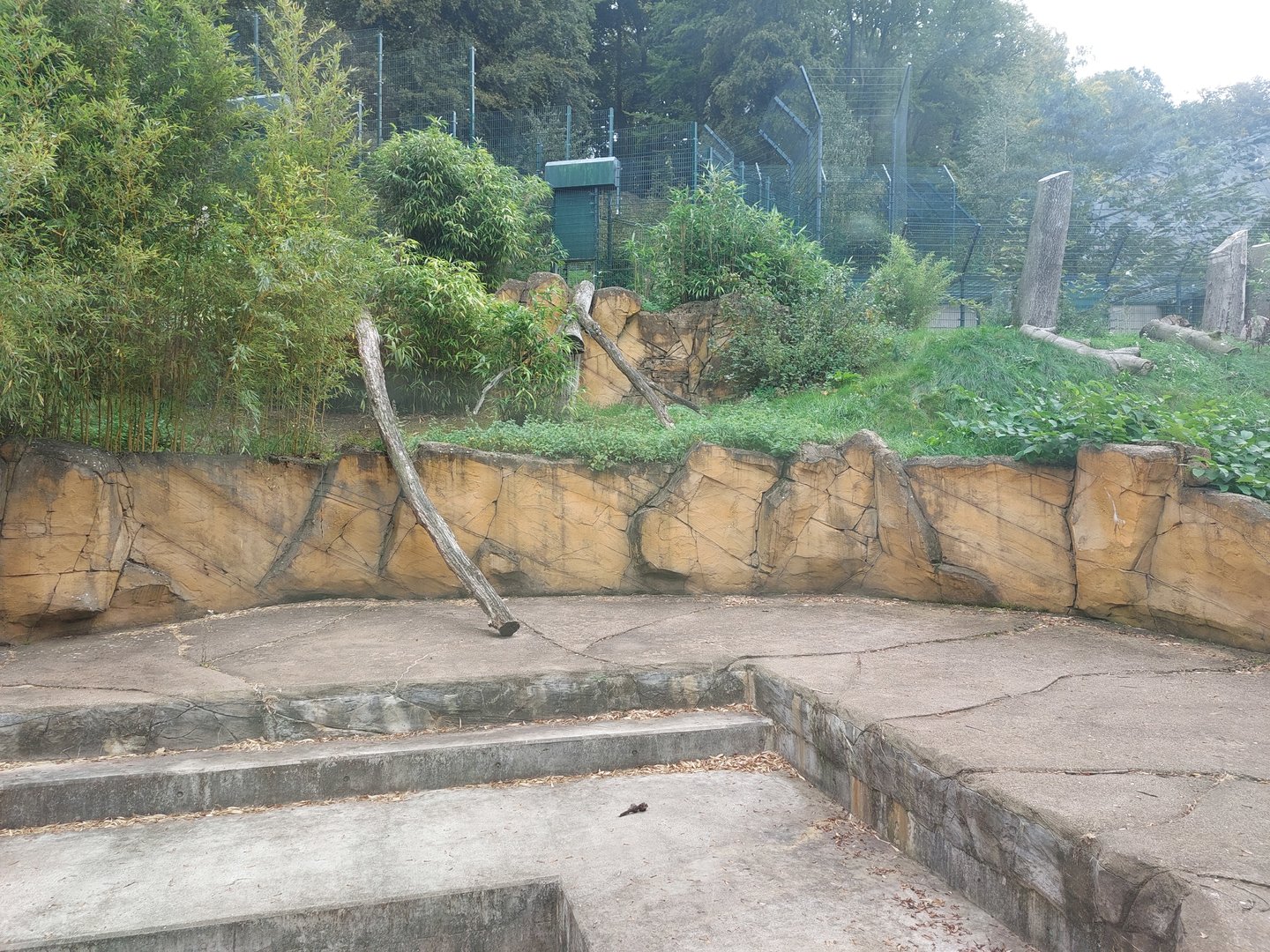 Former bear enclosure