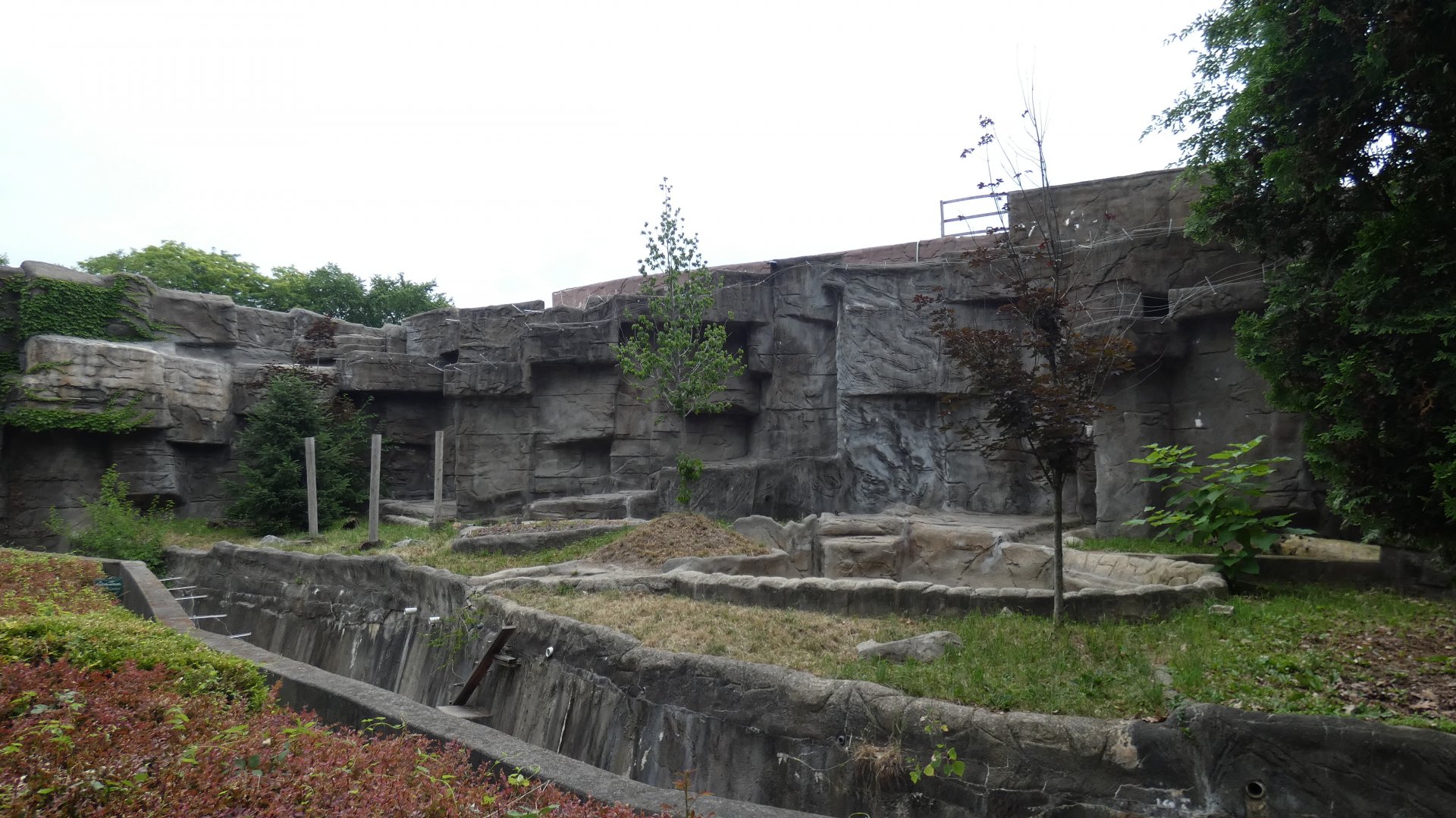 Former Bear Exhibit - July 2022