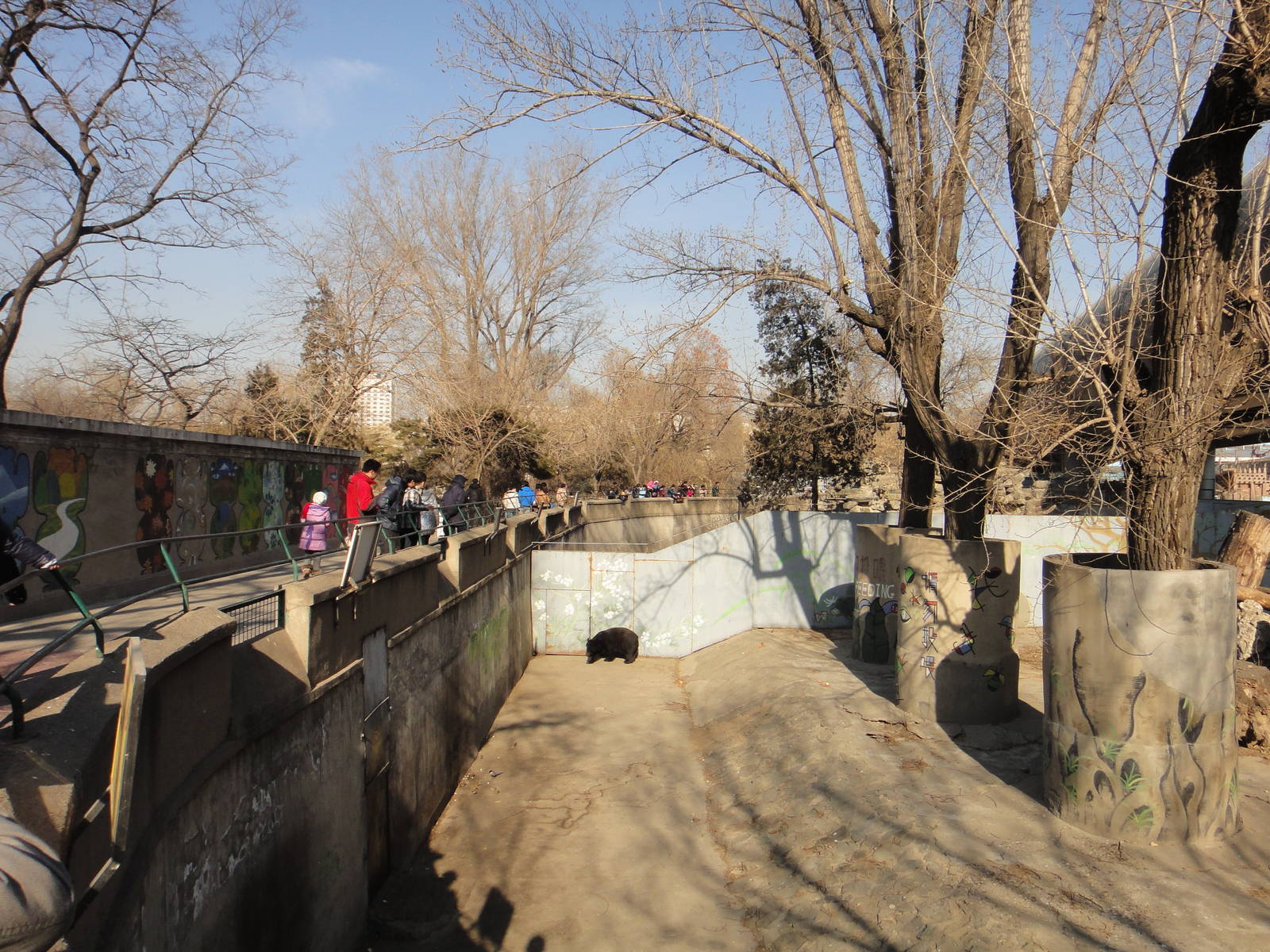 Former bear pit, reborn 2014