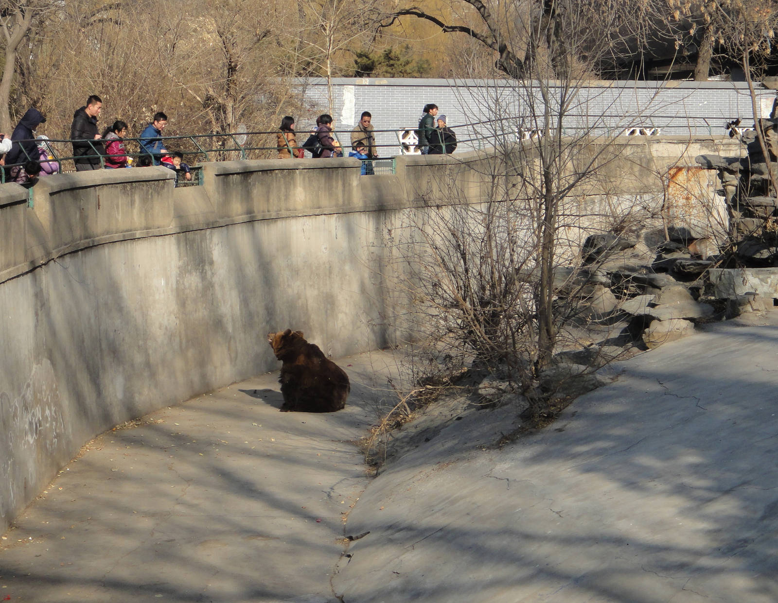 Former bear pit, reborn 2014