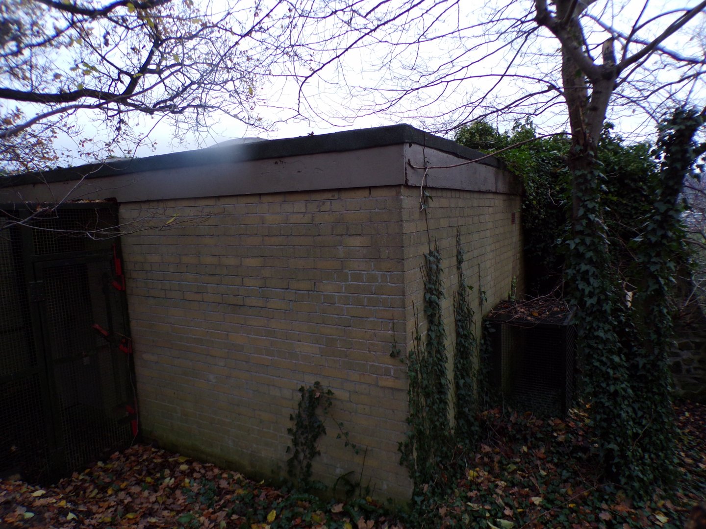 Former big cat row housing 19.11.23