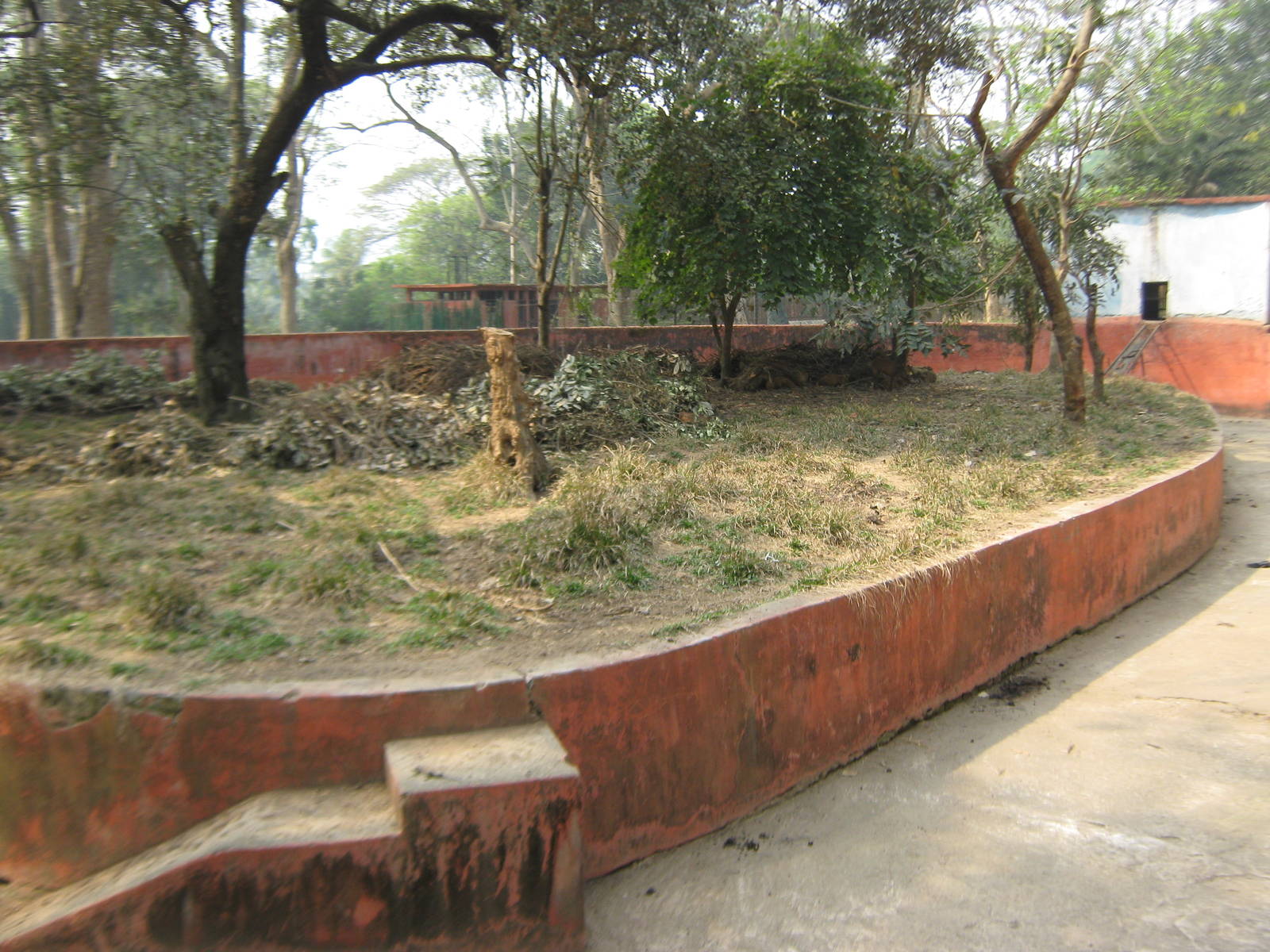 former binturong enclosure