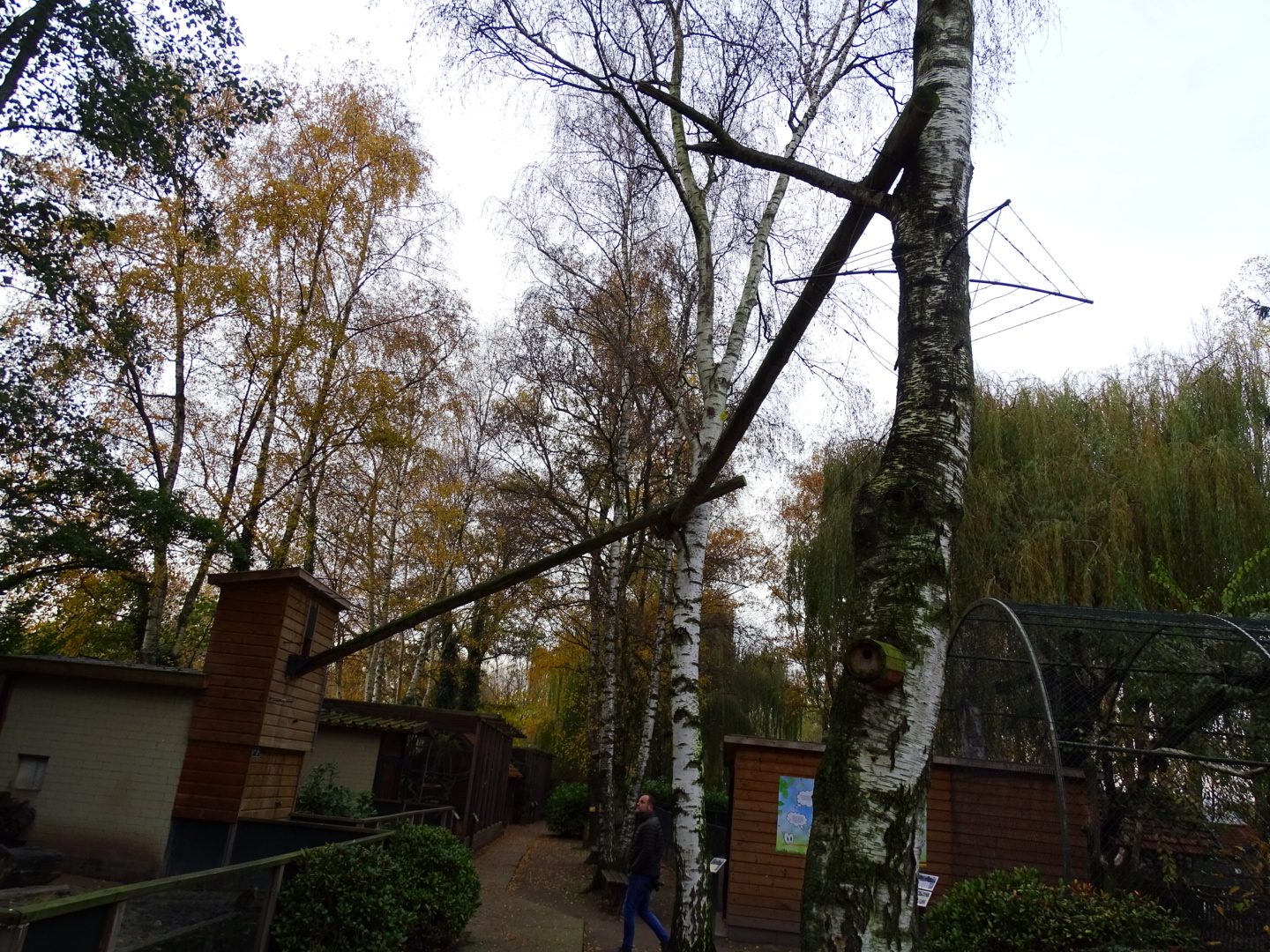 Former Binturong outside enclosure