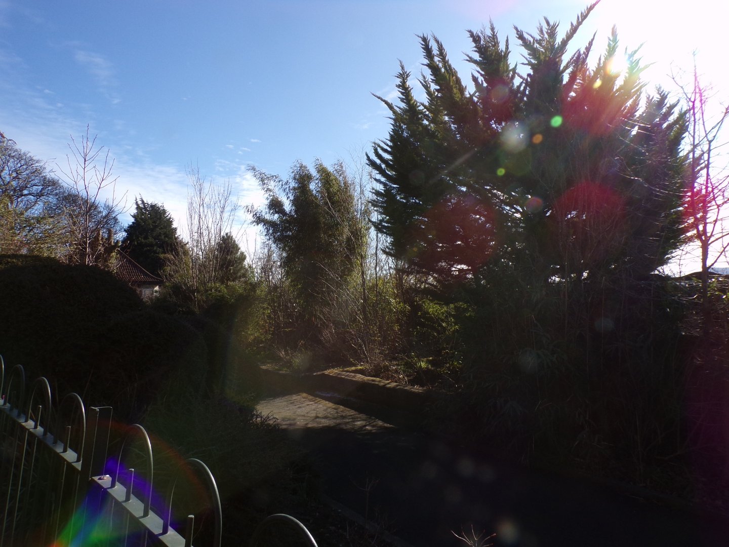 Former bird aviaries  11.3.23