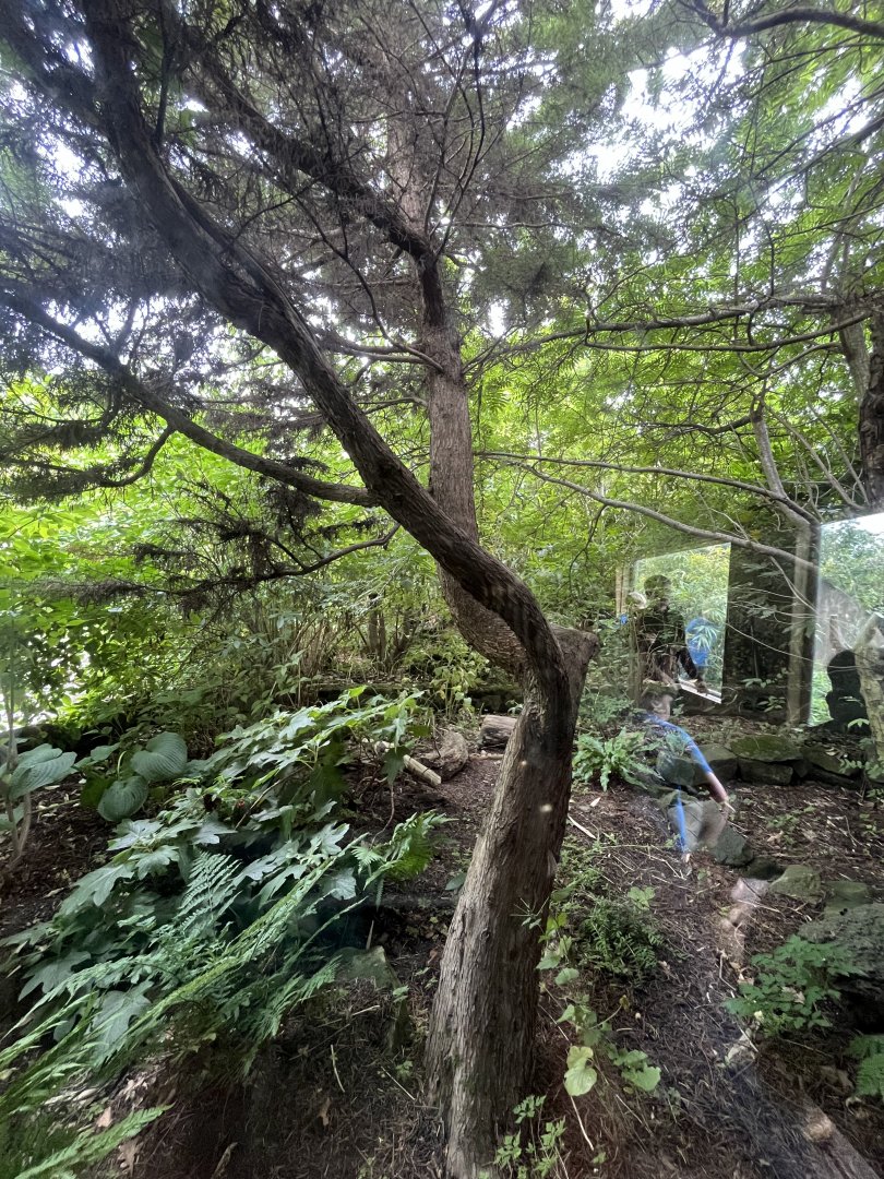 Former bird aviary 18.7.24