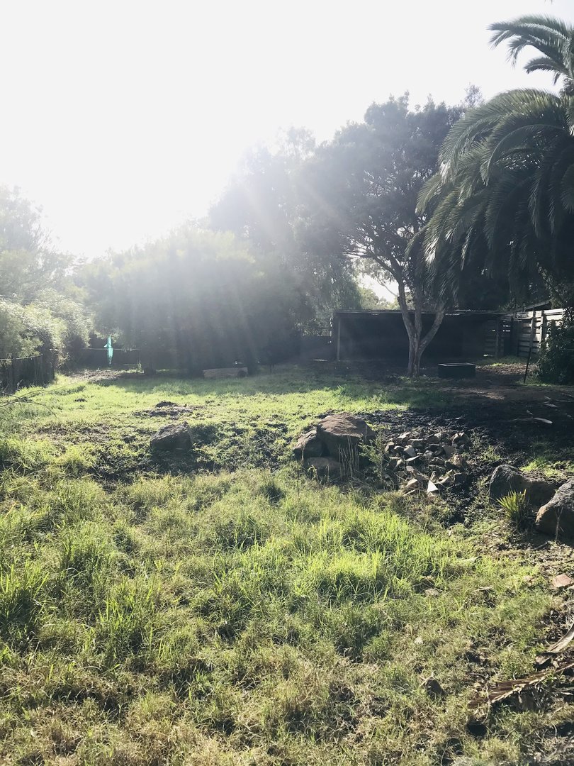 Former Bongo enclosure - now empty