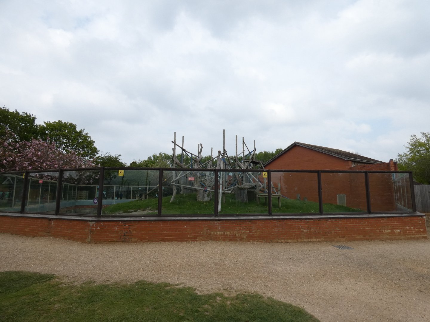 Former bonobo enclosure
