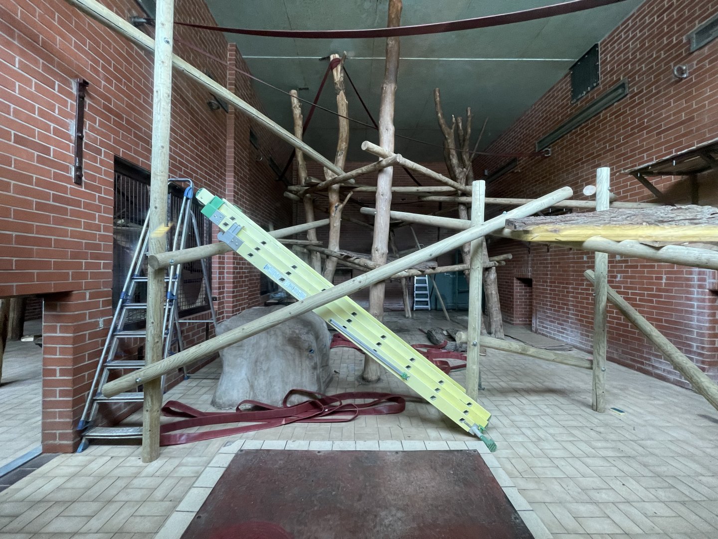 Former Bonobo Indoor Exhibit Under Refurbishment (Right)