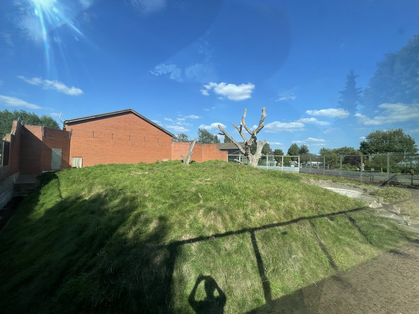 Former Bonobo Outdoor Exhibit Under Refurbishment