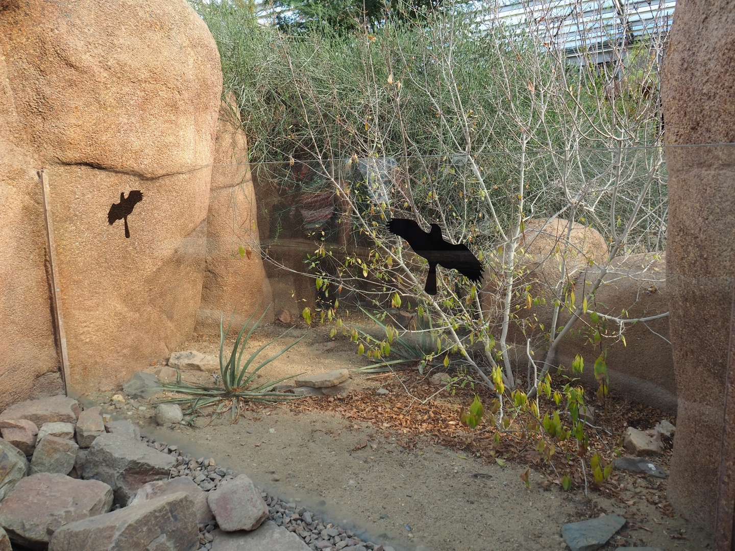 Former box turtle exhibit in the Desert (Sep 16th, 2018)