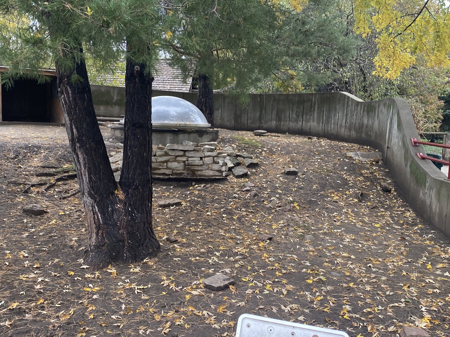Former Box Turtle Exhibit
