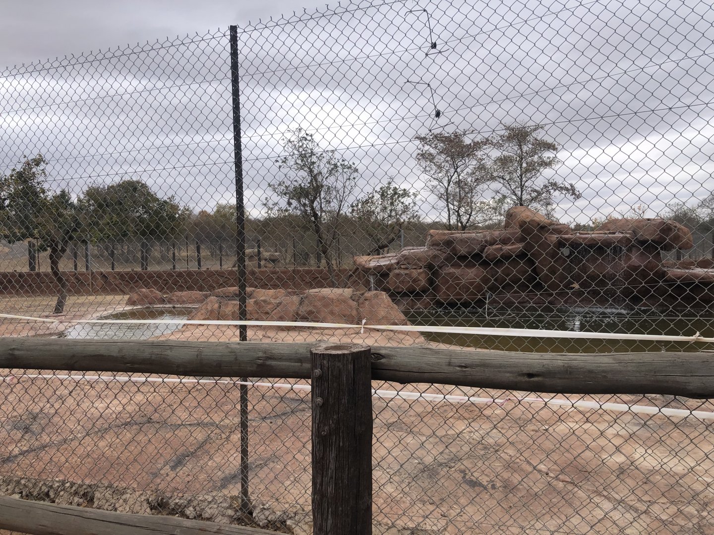 Former Brazilian Tapir Exhibit - Now home to Kangaroos