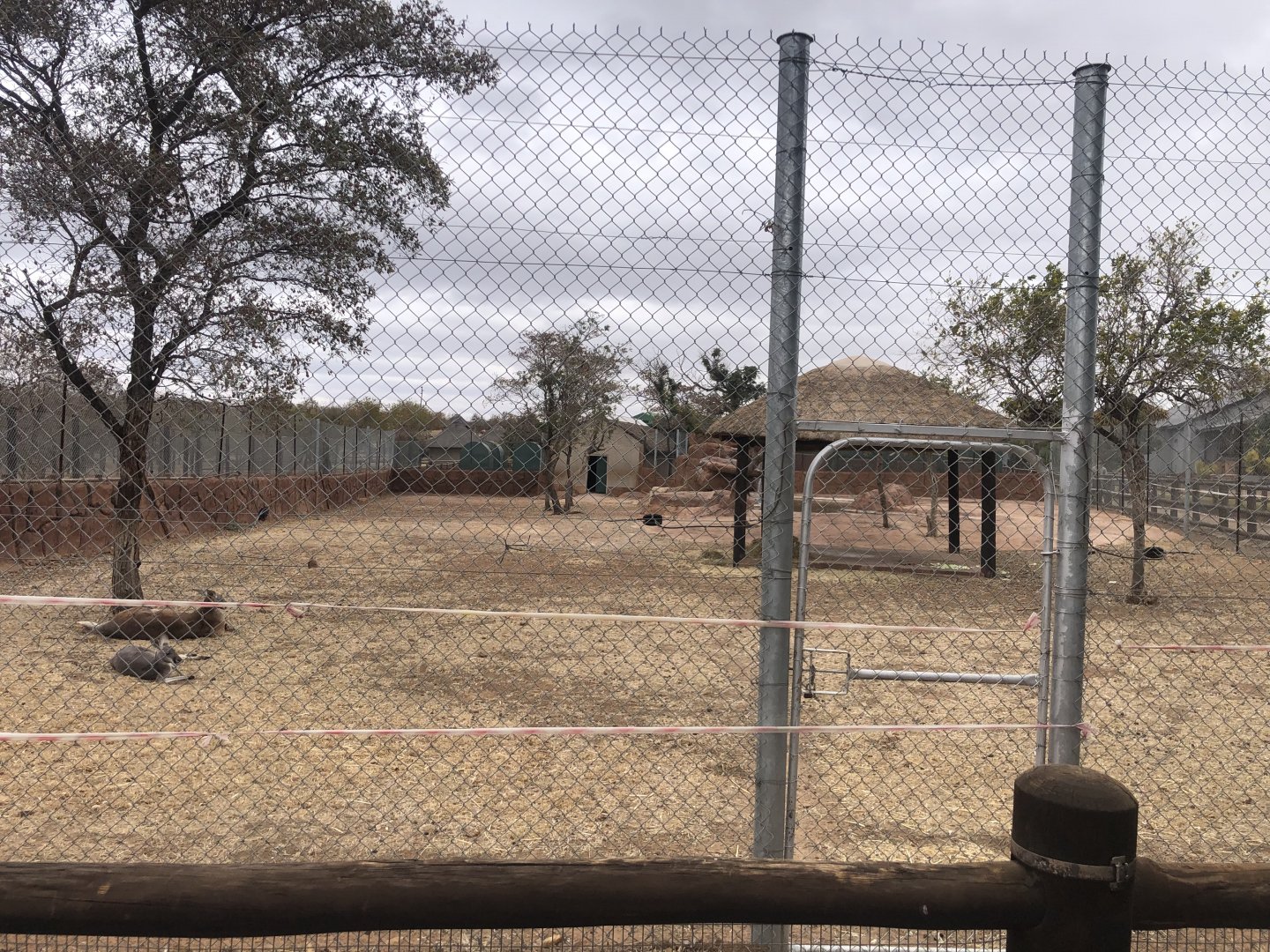 Former Brazilian Tapir Exhibit - Now home to Kangaroos