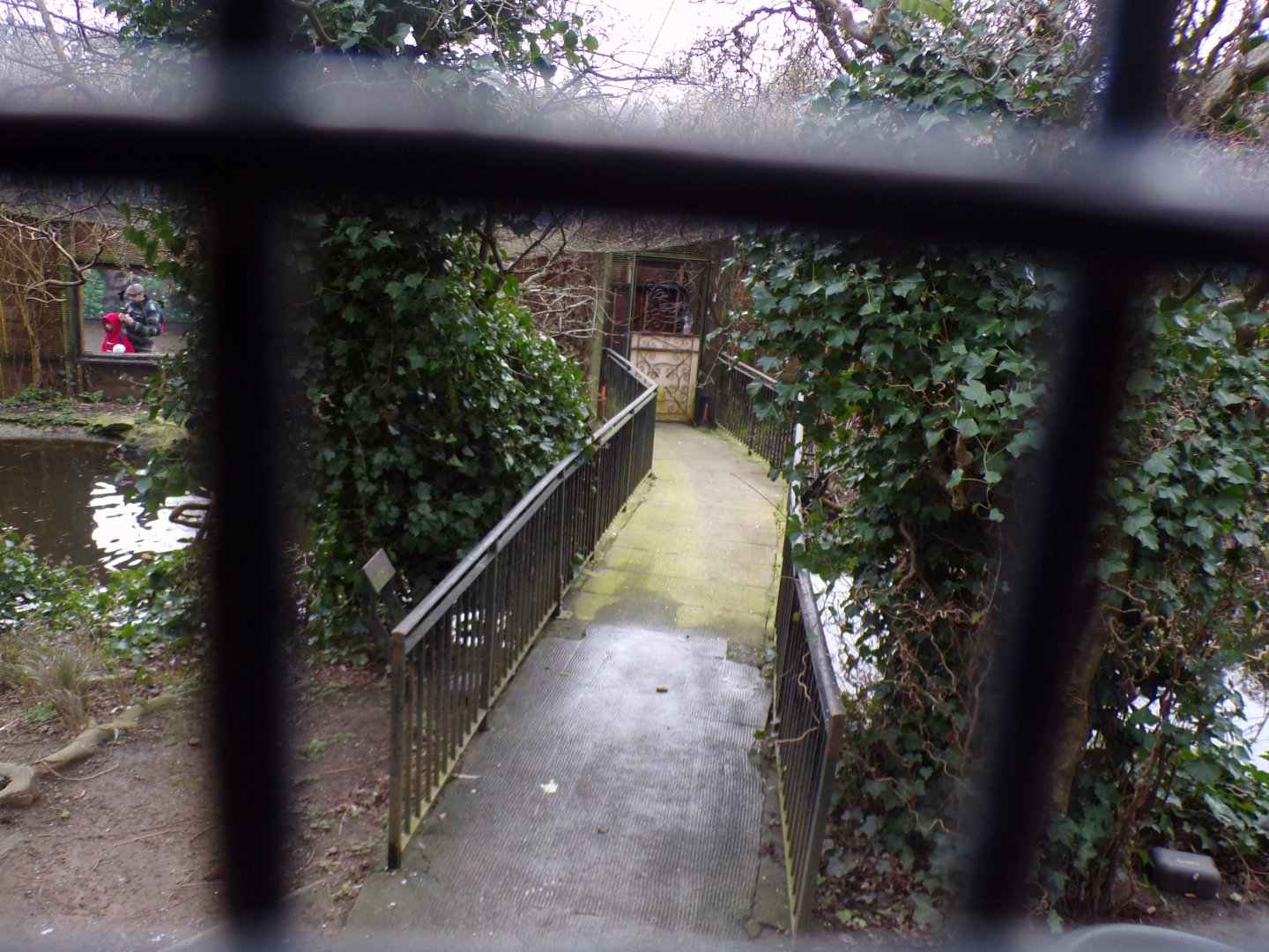 Former bridge through bird aviary 1.3.25