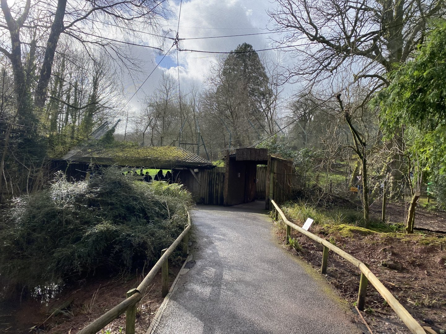 Former Brookside Aviary 240222