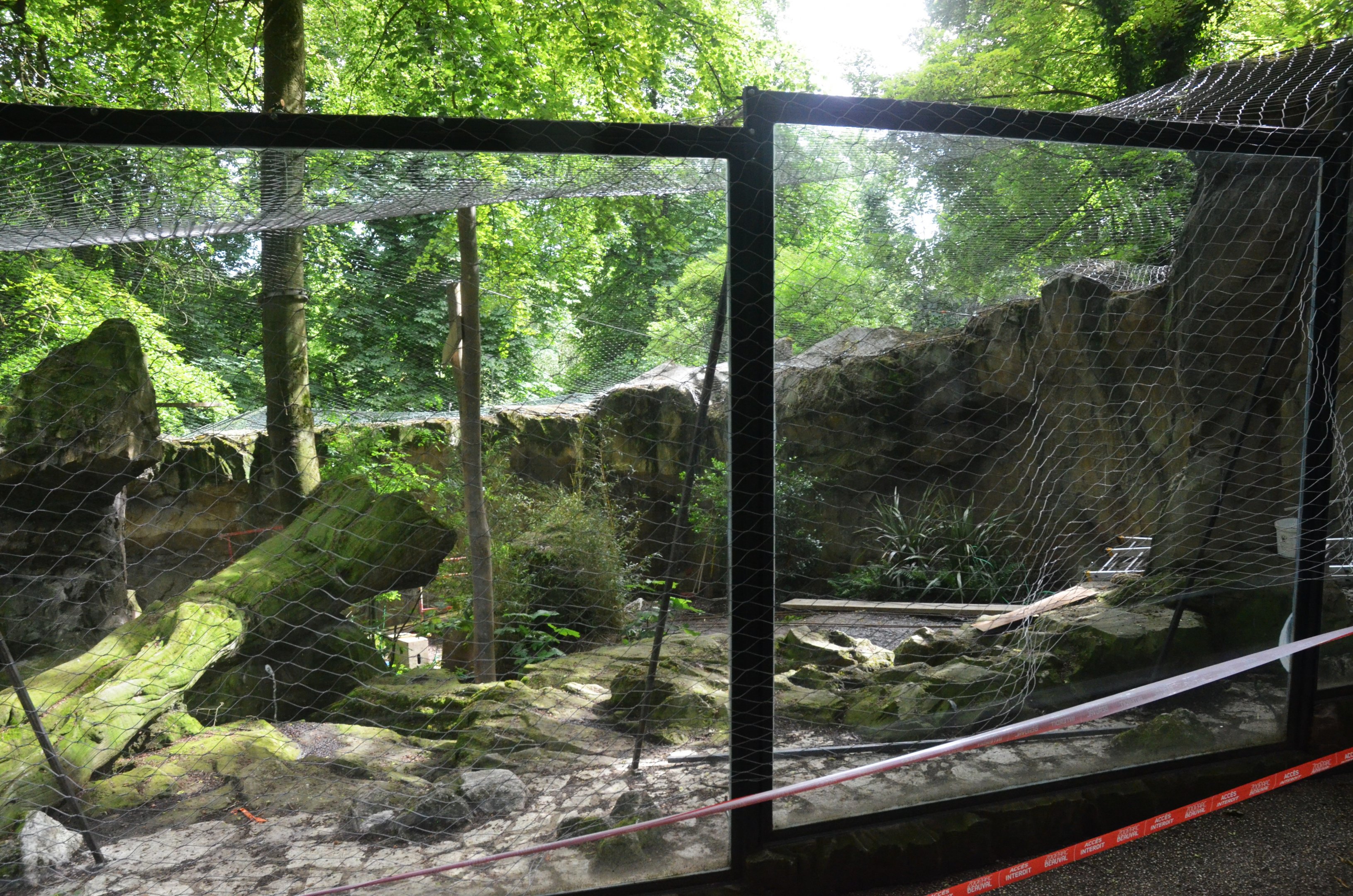 Former Brown Bear Enclosure at Beauval, 12/06/18