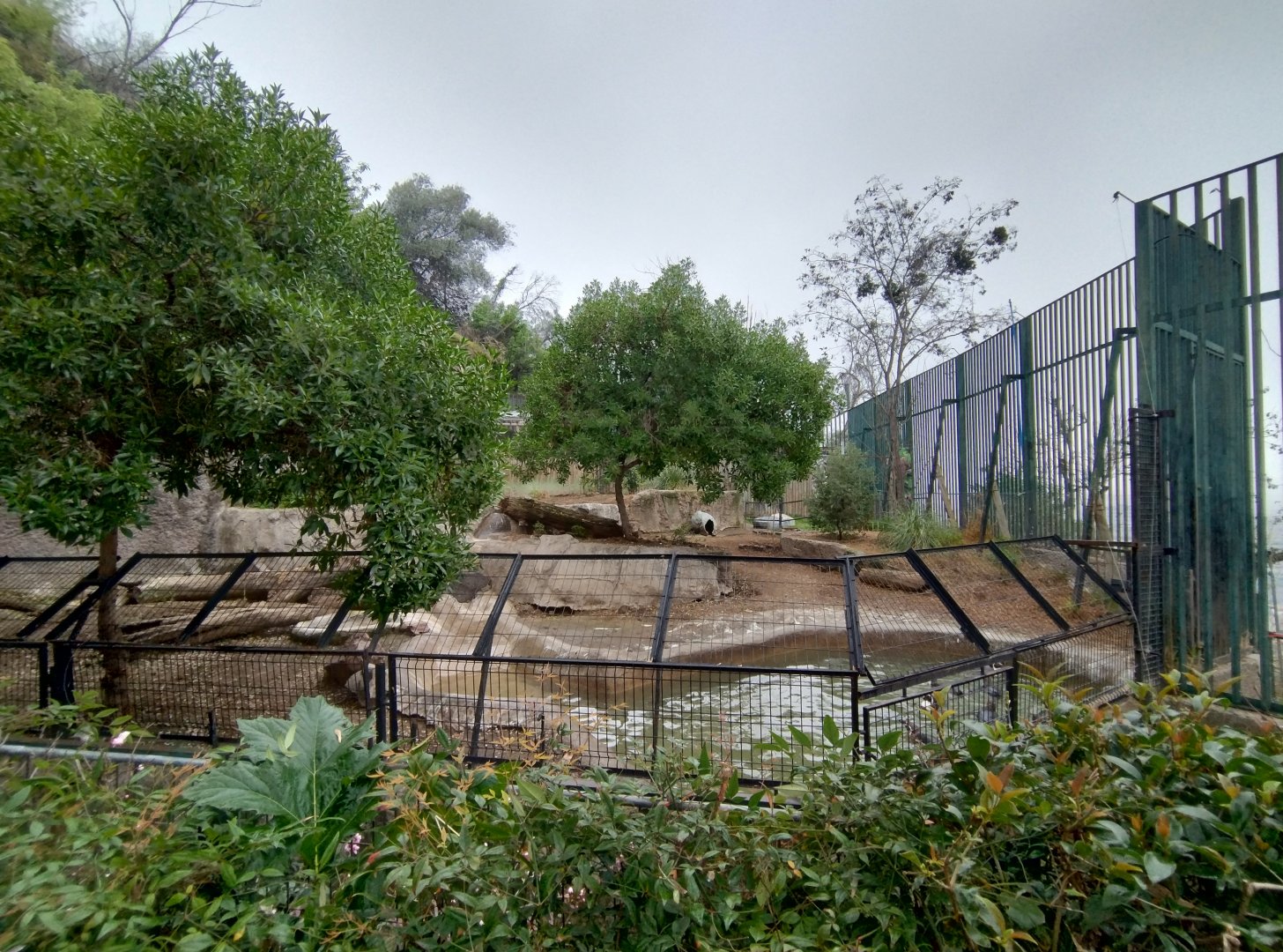 Former brown bear exhibit (holding humboldt penguin) - Santiago Zoo (Zoologico nacional)