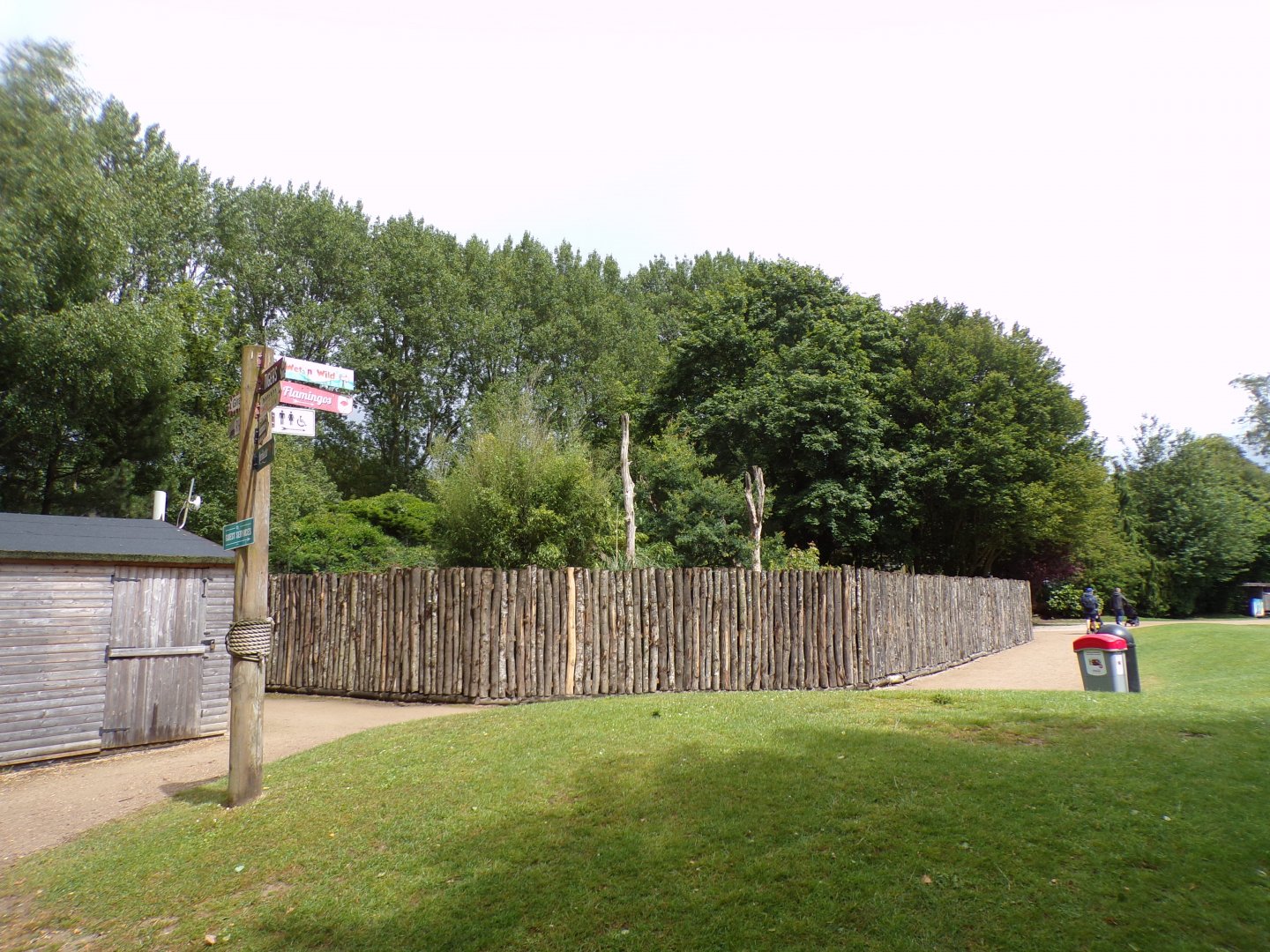 Former bush dog enclosure 7.7.24