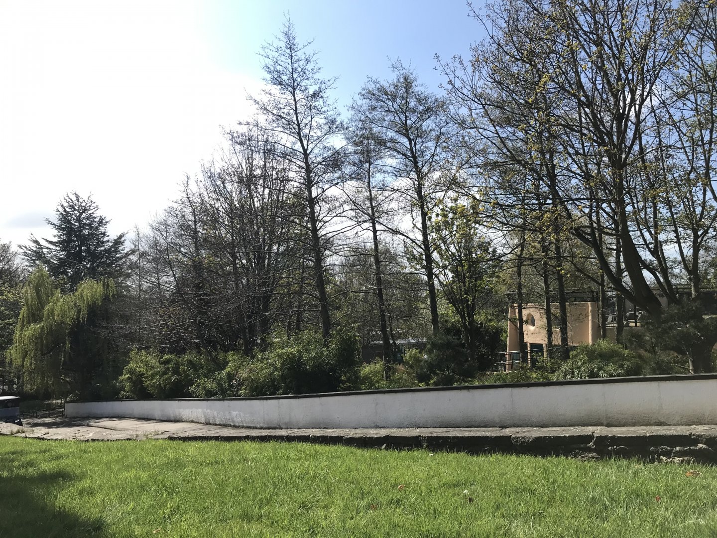 Former bush dog/warty pig enclosure