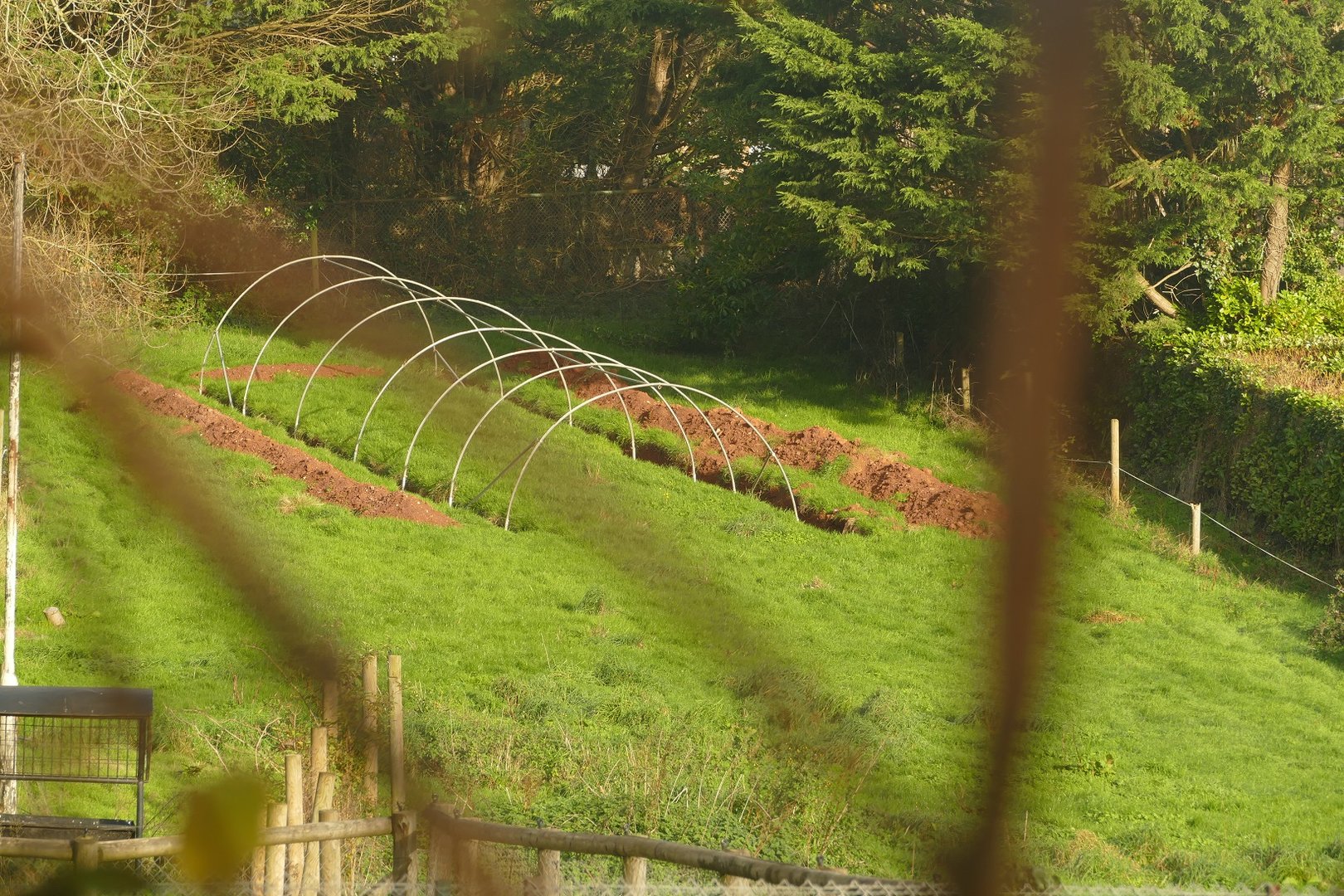 Former camel enclosure, December 2022