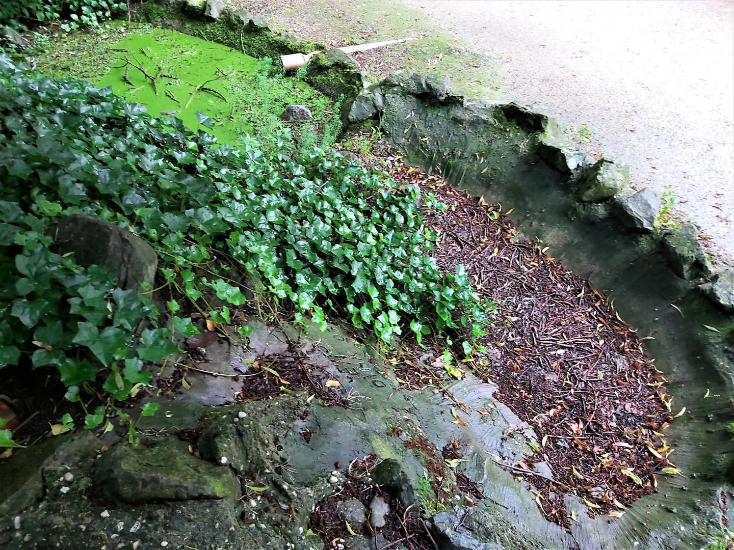 Former Canadian beaver bassin from above