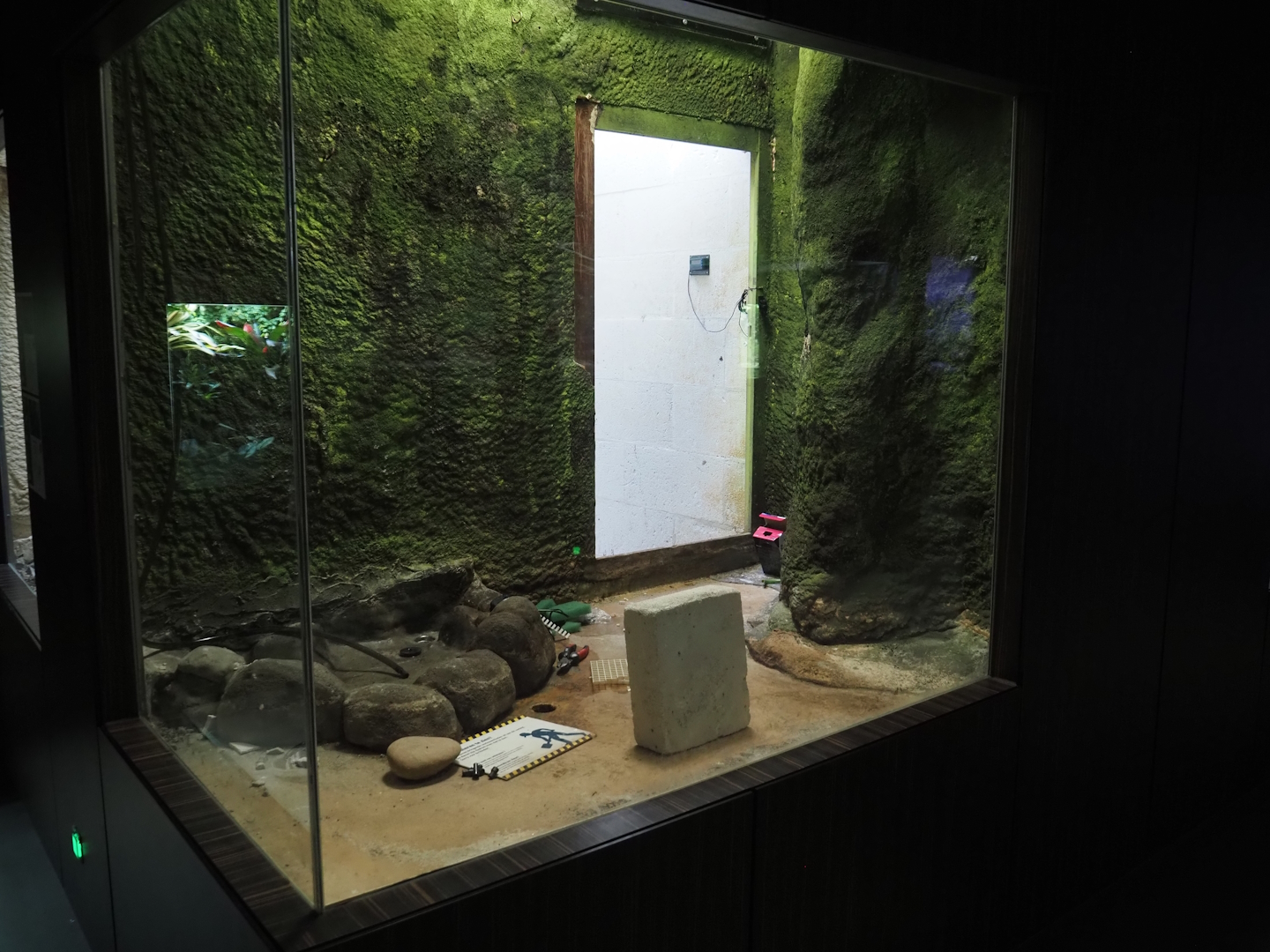 Former cane toad terrarium being redone, 2025-05-14