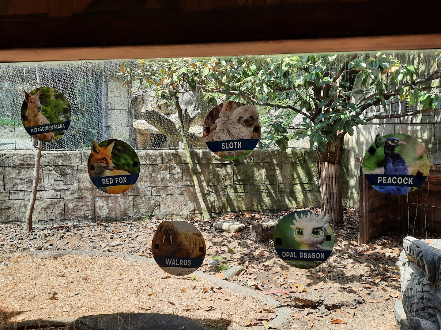 Former Capybara Exhibit 1