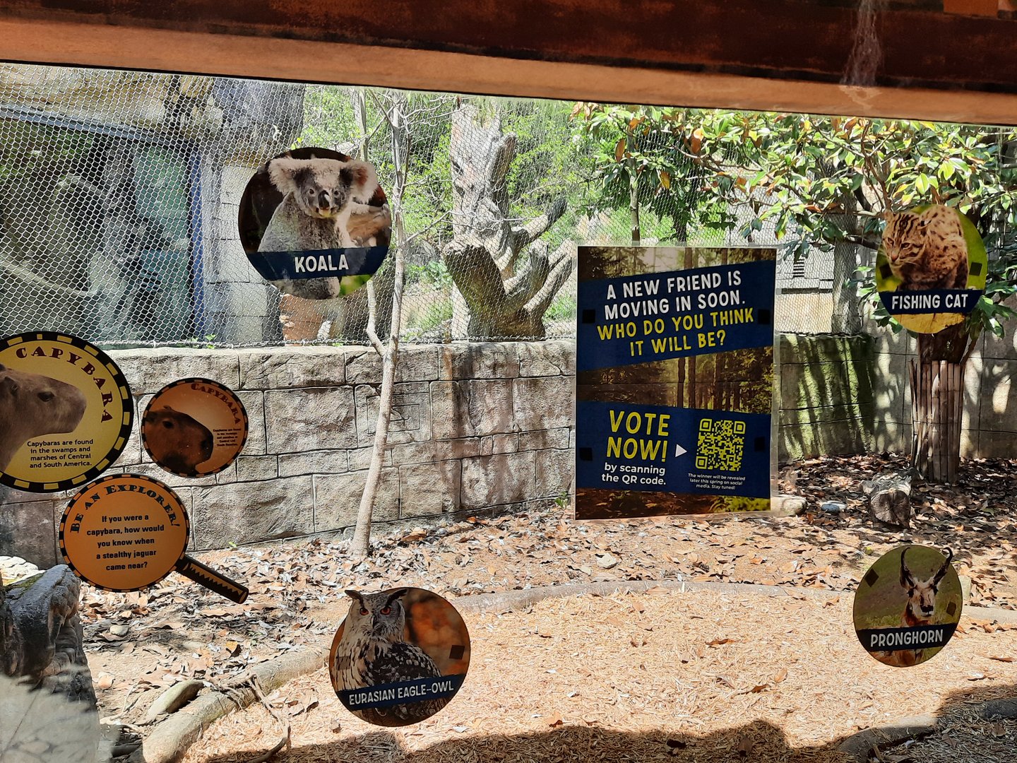 Former Capybara Exhibit 2