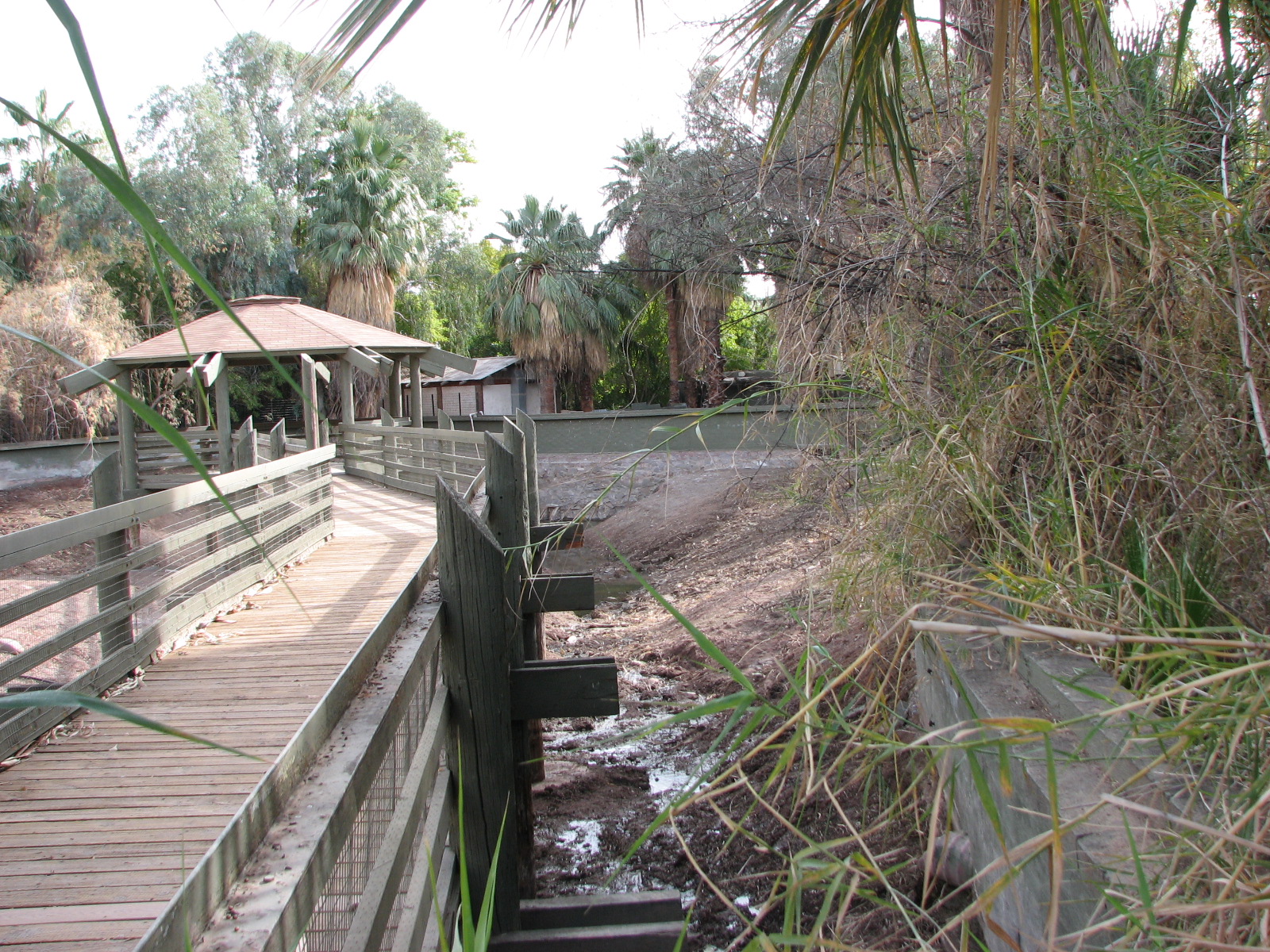 Former Capybara Swamp
