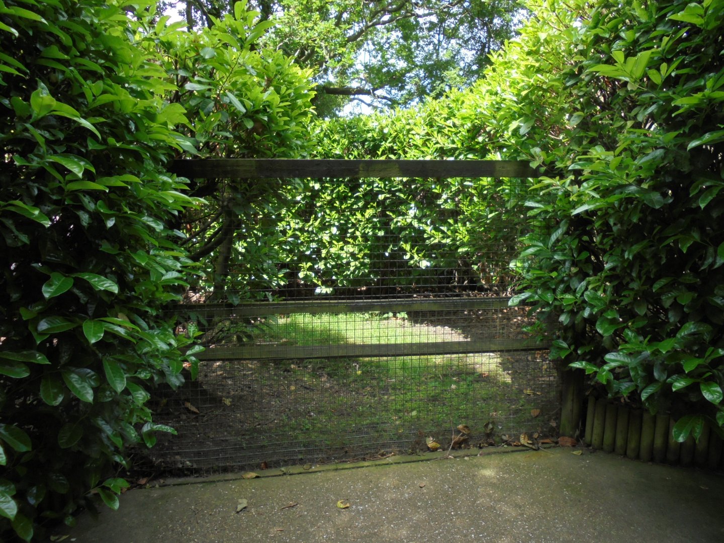 Former Cassowary enclosure 2017